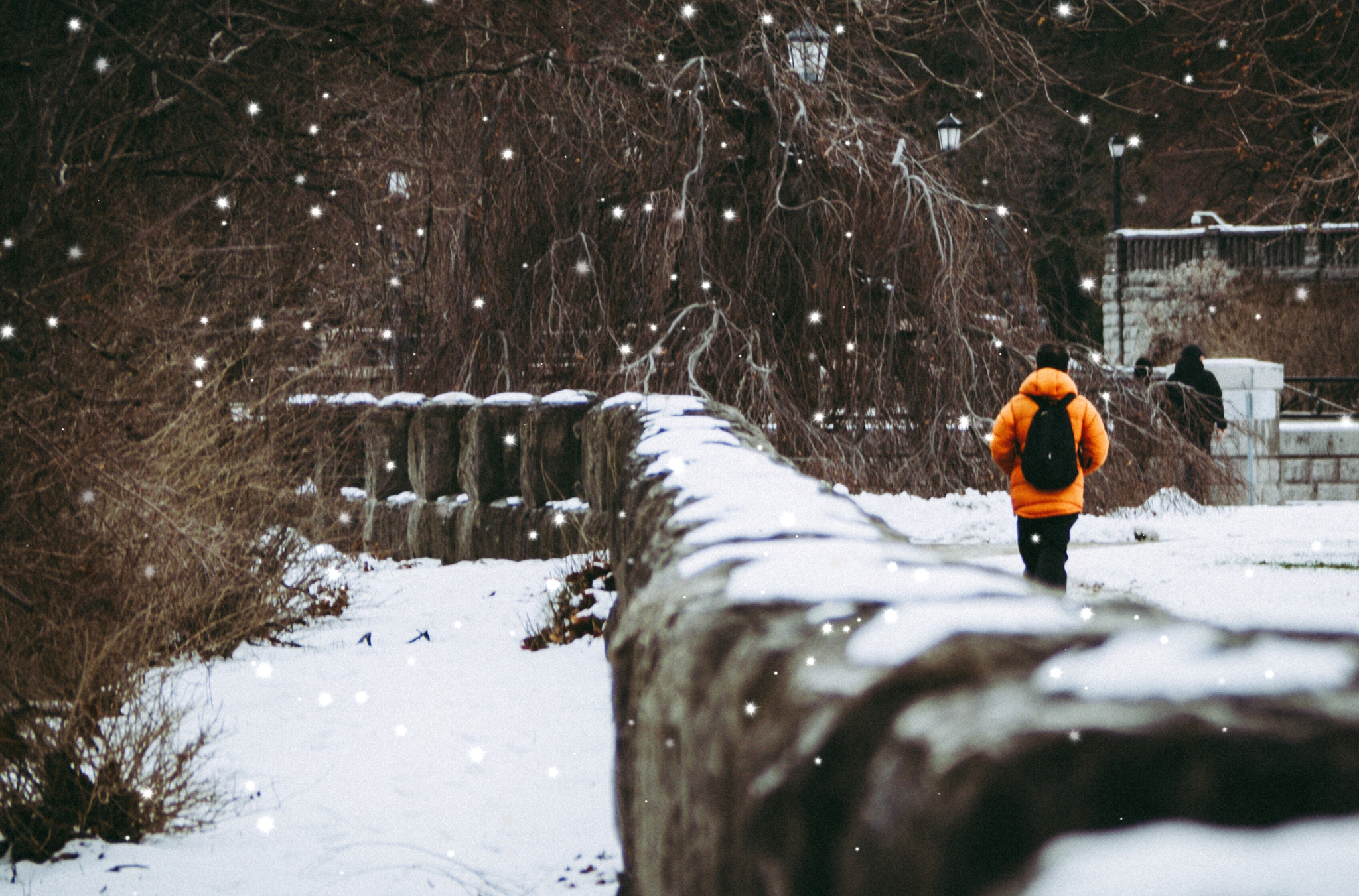 Olympus OM-D E-M5 II + Panasonic Lumix G Vario 45-200mm F4-5.6 OIS sample photo. Winter walks photography