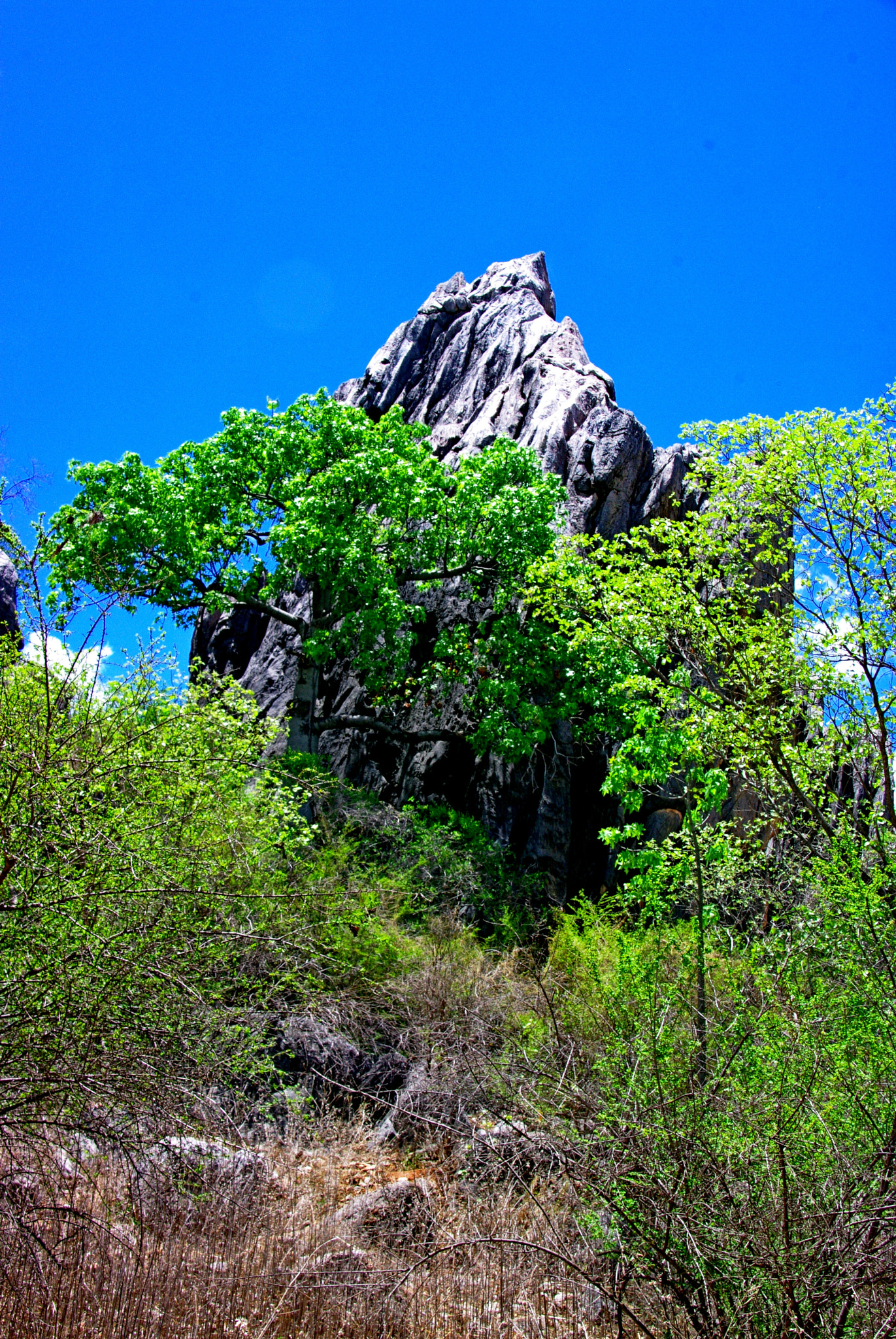 Pentax K20D sample photo. Chillago photography