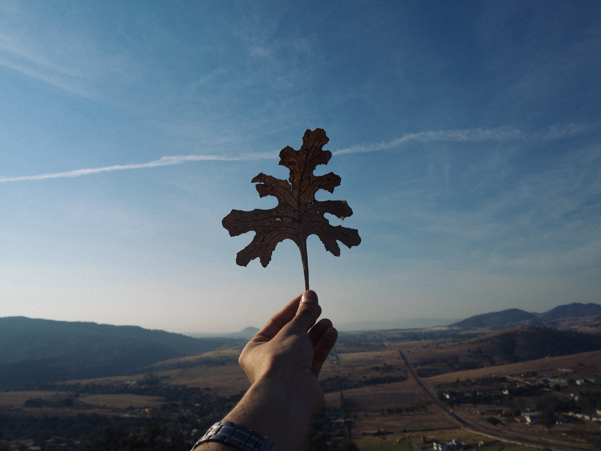 LUMIX G VARIO PZ 14-42/F3.5-5.6 sample photo. Happy new year! photography
