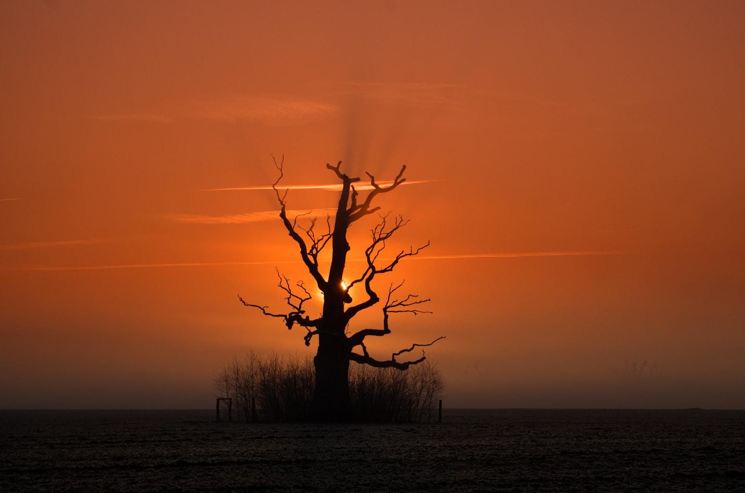 Pentax K-50 + Sigma sample photo. Frosty morning photography