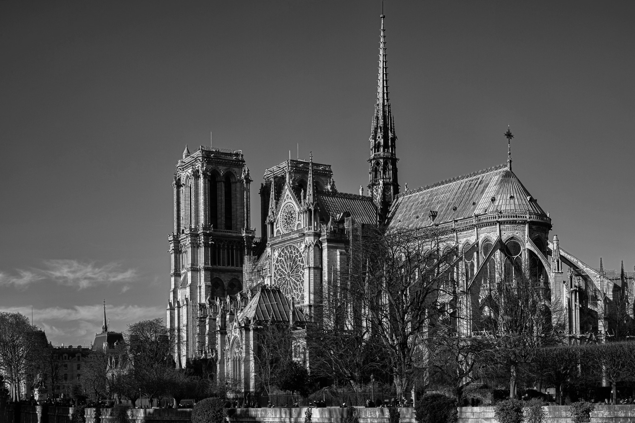 Nikon D4S + Nikon AF Nikkor 50mm F1.4D sample photo. Notre dame b & w photography