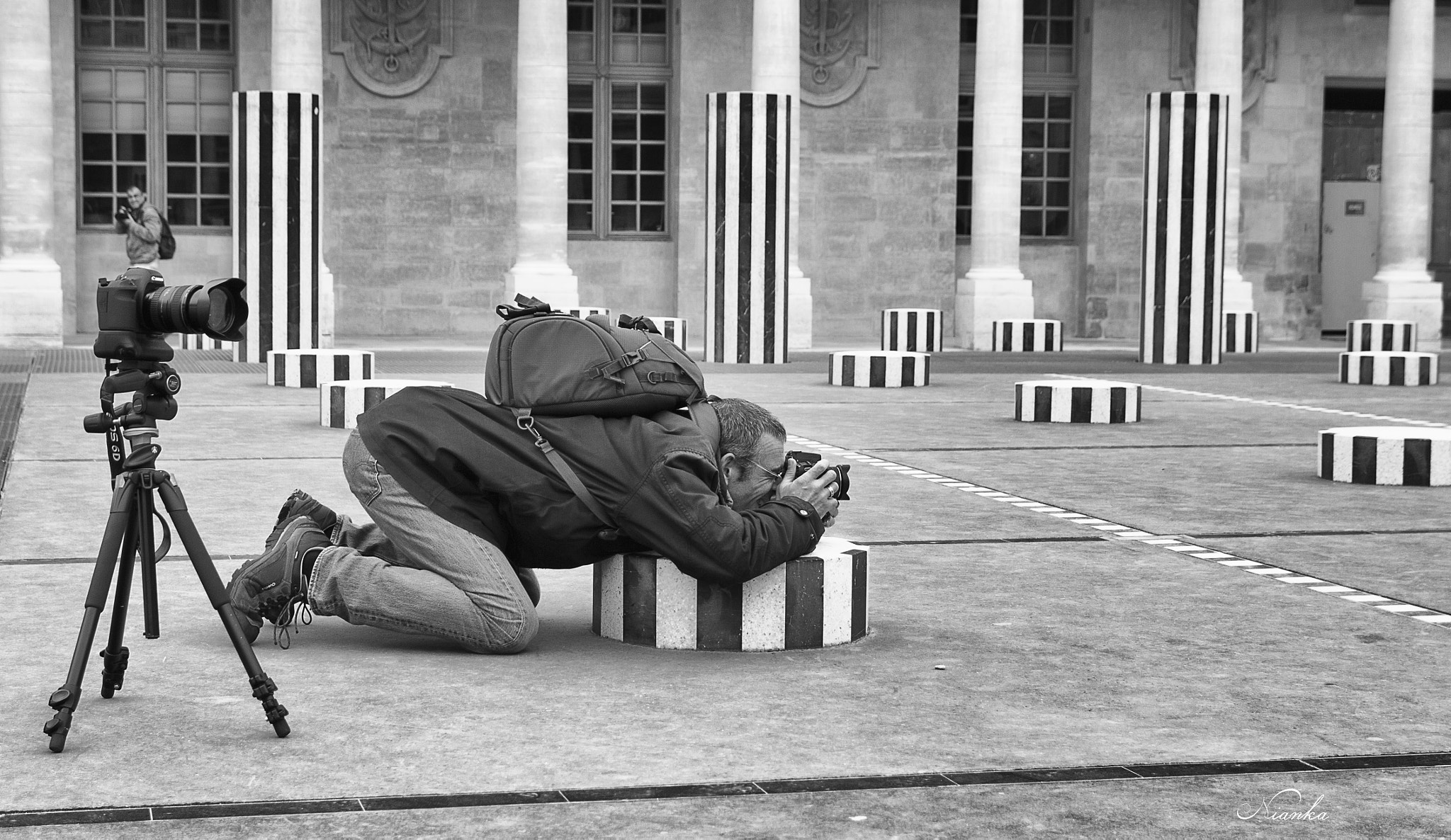 Canon EOS 500D (EOS Rebel T1i / EOS Kiss X3) sample photo. Photographe tortue photography