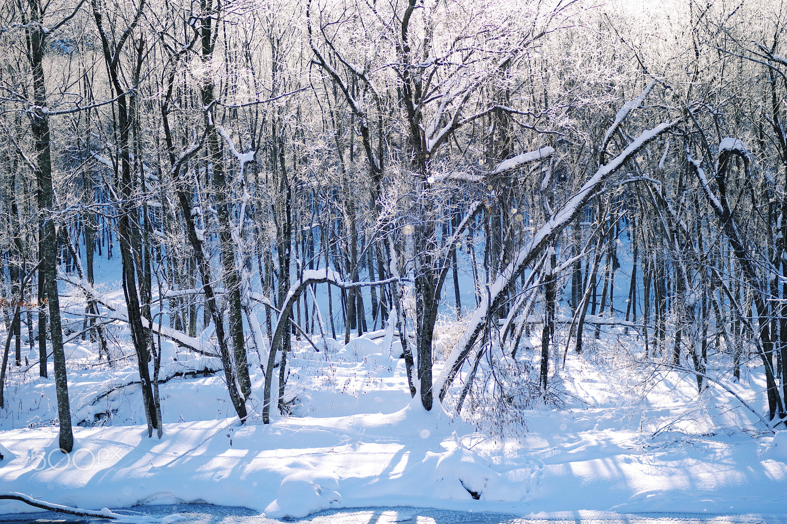 Pentax K-70 sample photo. Snow rime in hokkaido photography