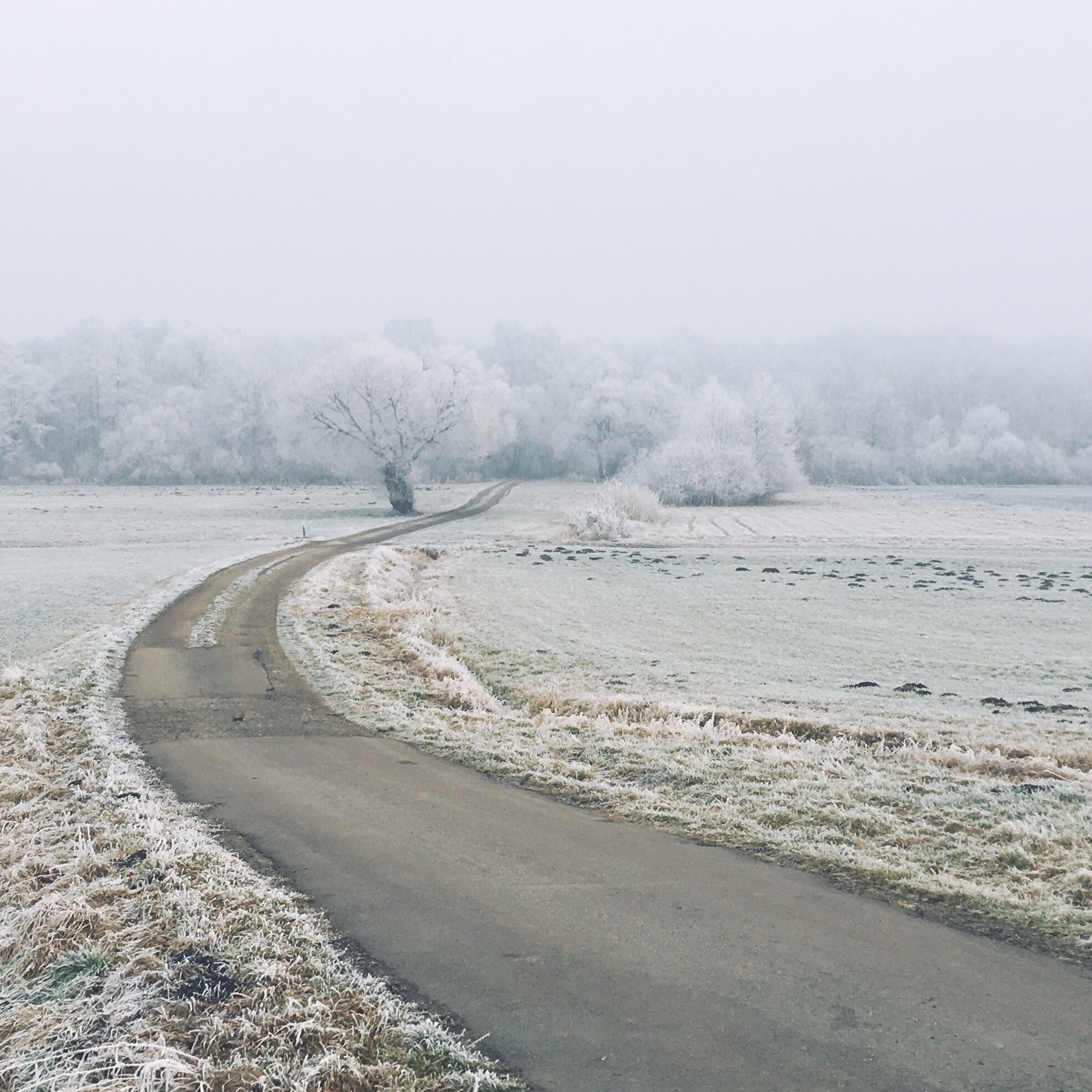 Hipstamatic 330 sample photo. Winter photography