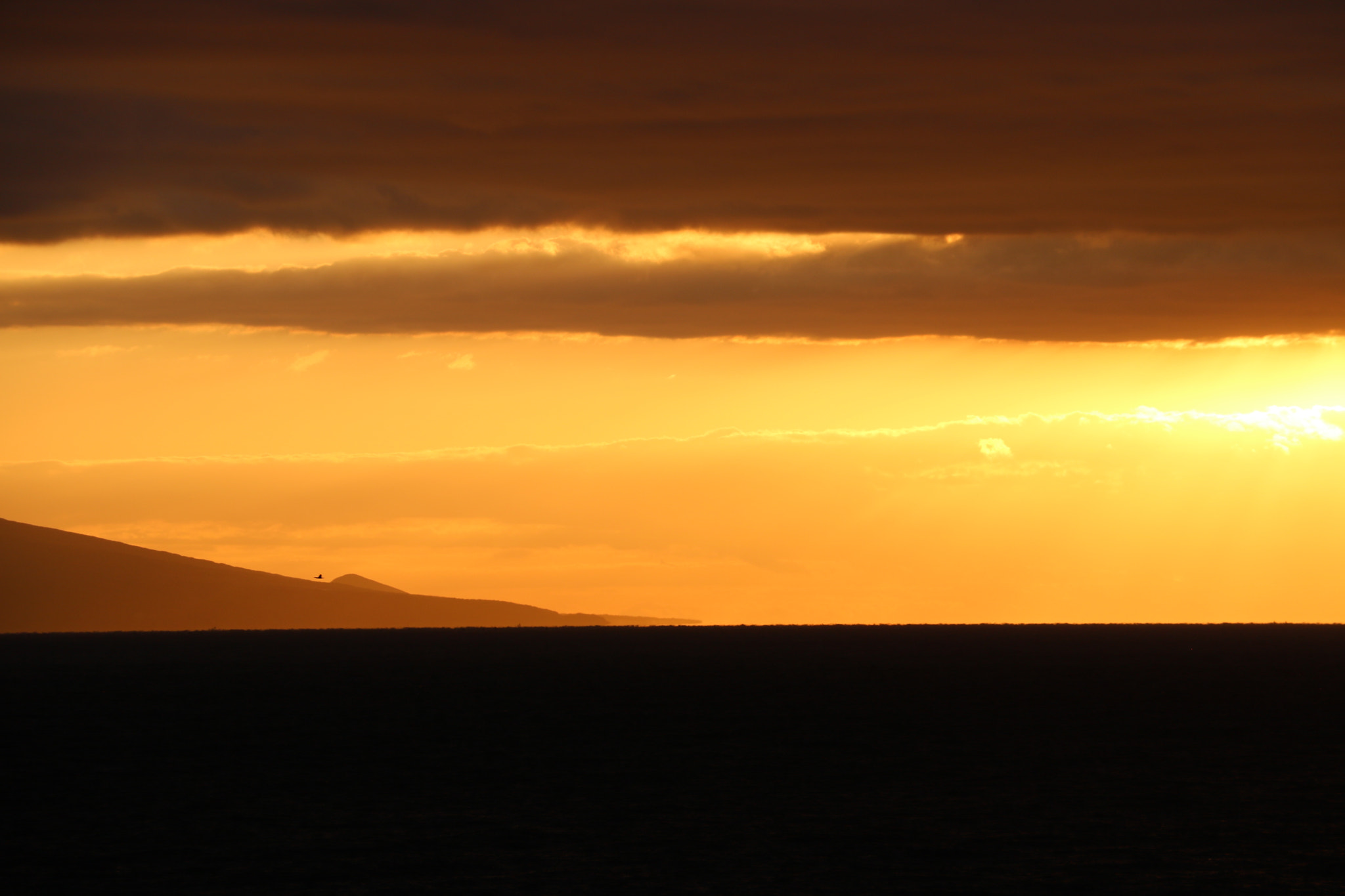 Canon EOS 760D (EOS Rebel T6s / EOS 8000D) + Canon EF-S 18-135mm F3.5-5.6 IS STM sample photo. Between the sky and sea photography