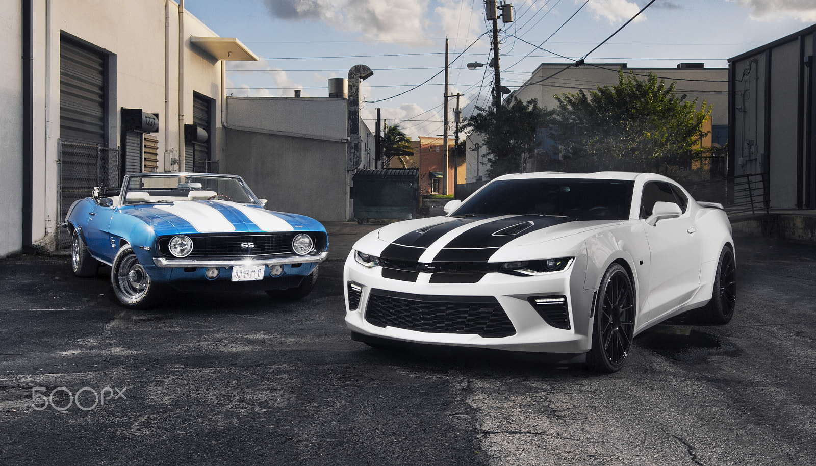 Sigma 18-35mm f/1.8 DC HSM sample photo. Camaro duo photography