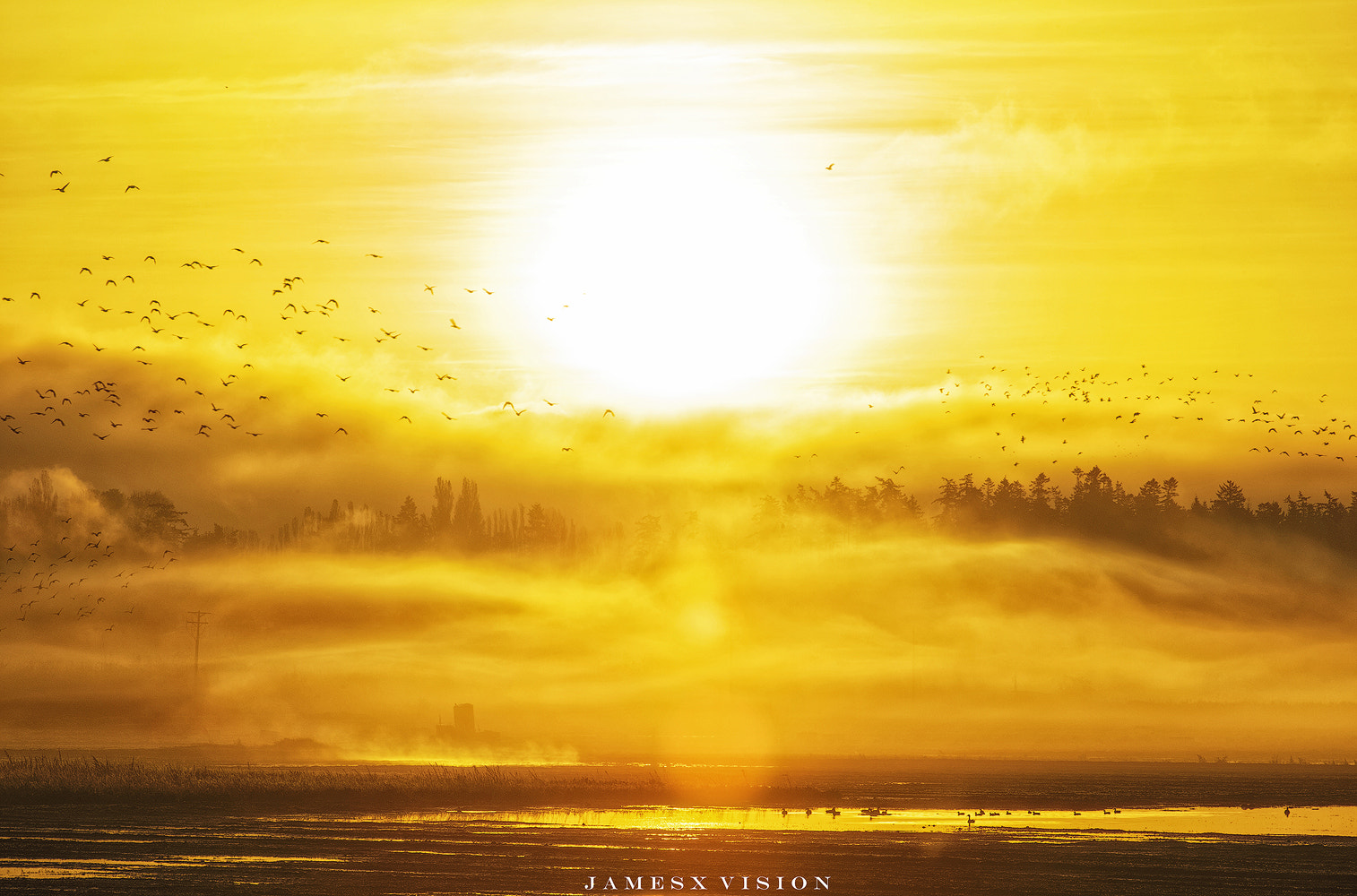 AF-S Zoom-Nikkor 80-200mm f/2.8D IF-ED sample photo. Good morning photography