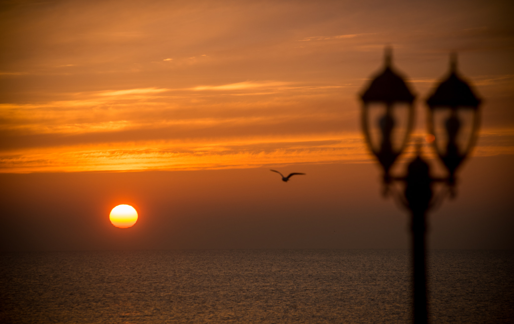 AF Zoom-Nikkor 80-200mm f/2.8 ED sample photo. First sunrise in 2017 photography