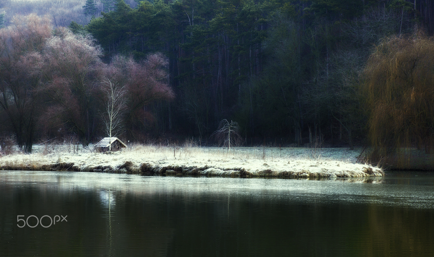 Sony Alpha DSLR-A580 + Tamron SP 24-70mm F2.8 Di VC USD sample photo. Winter house photography