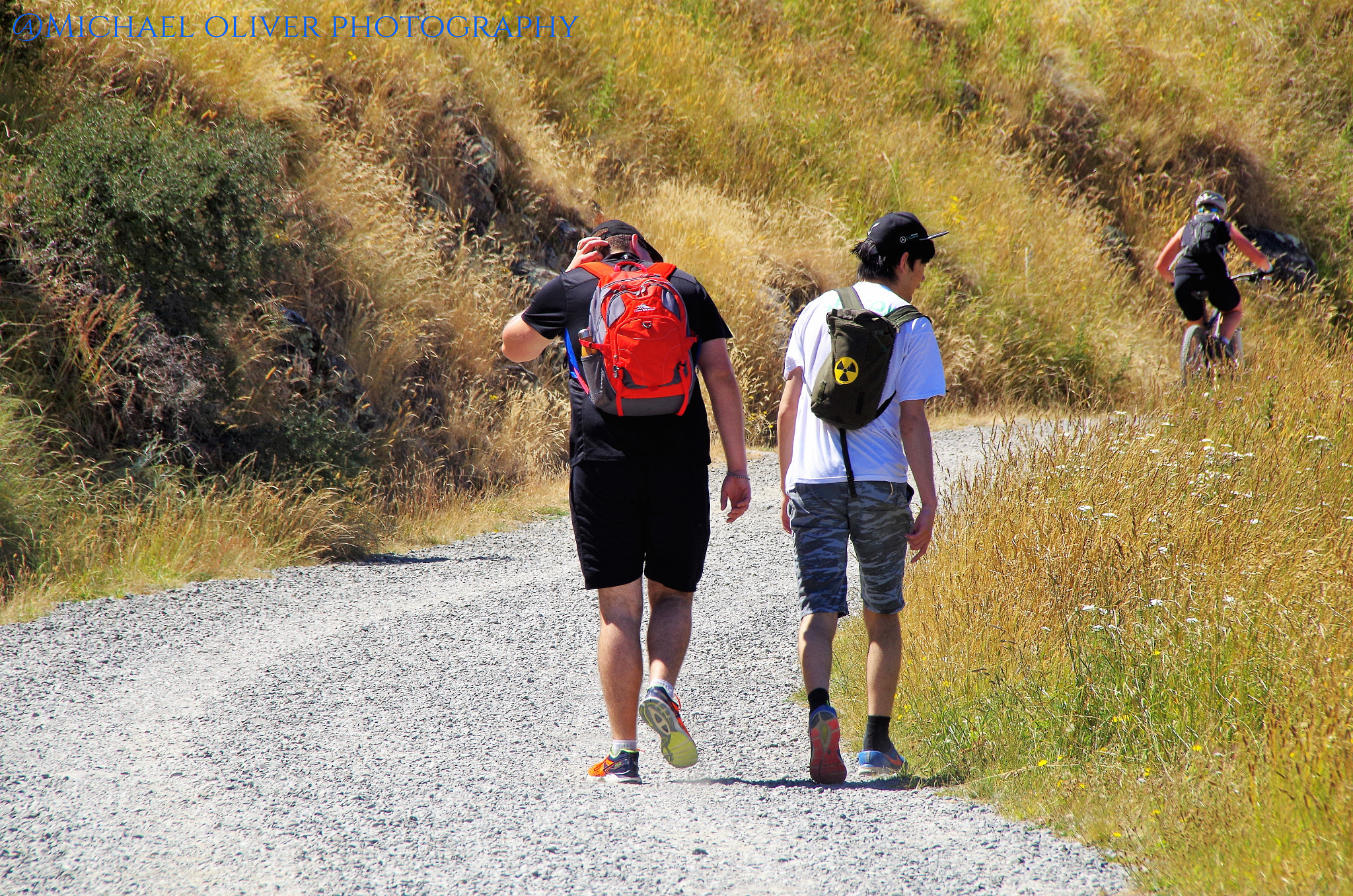 Sigma 18-250mm F3.5-6.3 DC Macro OS HSM sample photo. Walking side by side photography