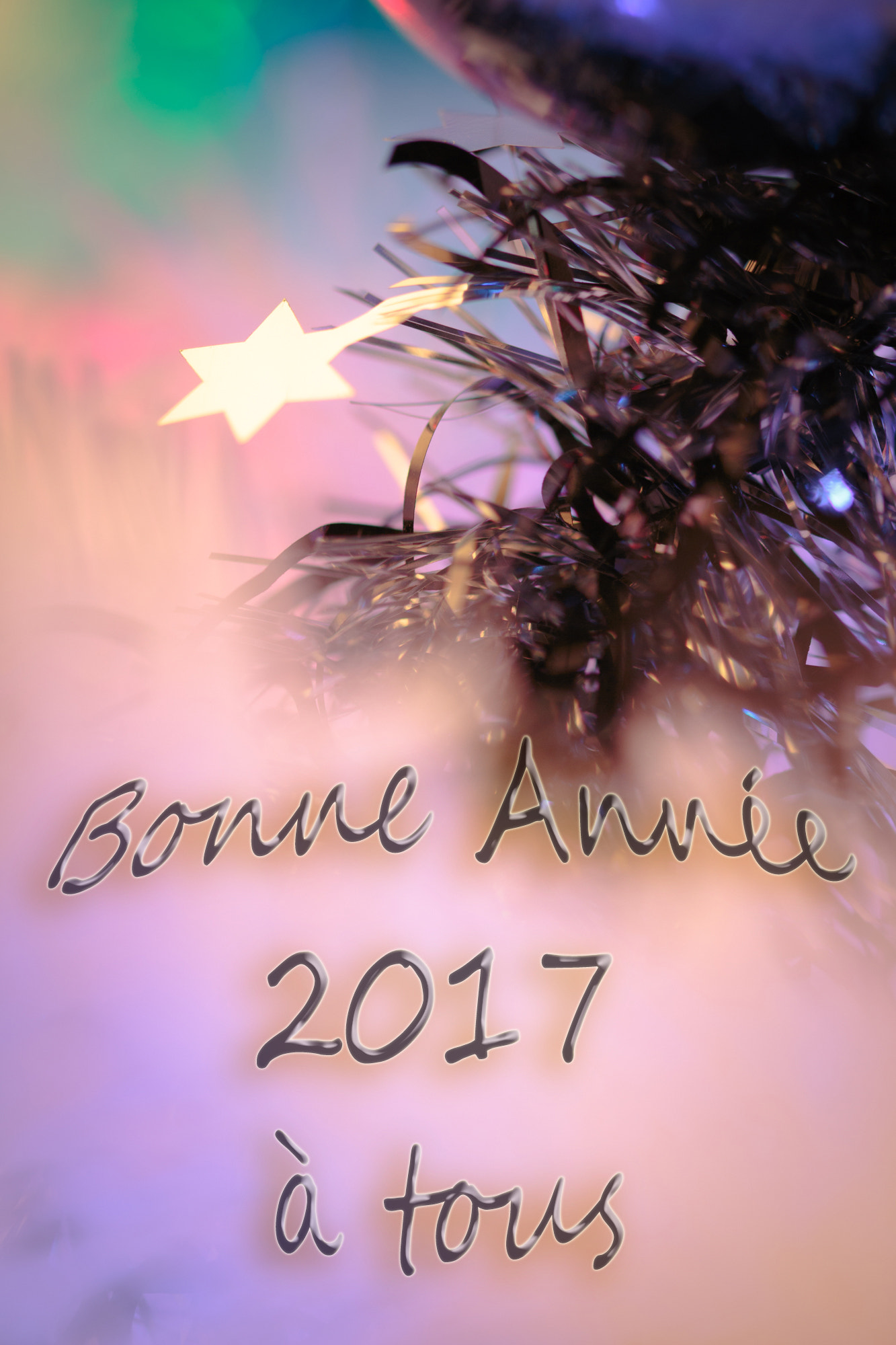 Sigma 105mm F2.8 EX DG OS HSM sample photo. Bonne année 2017 photography