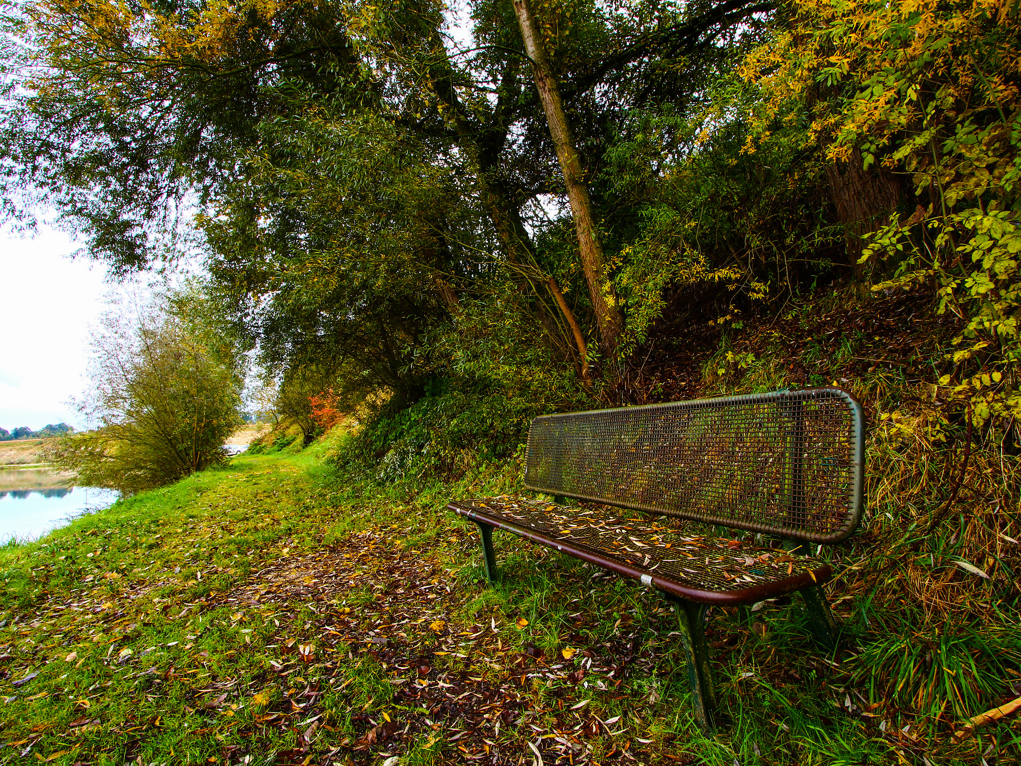 Canon EOS 100D (EOS Rebel SL1 / EOS Kiss X7) + Canon EF-S 10-22mm F3.5-4.5 USM sample photo. Bench in the autumn photography
