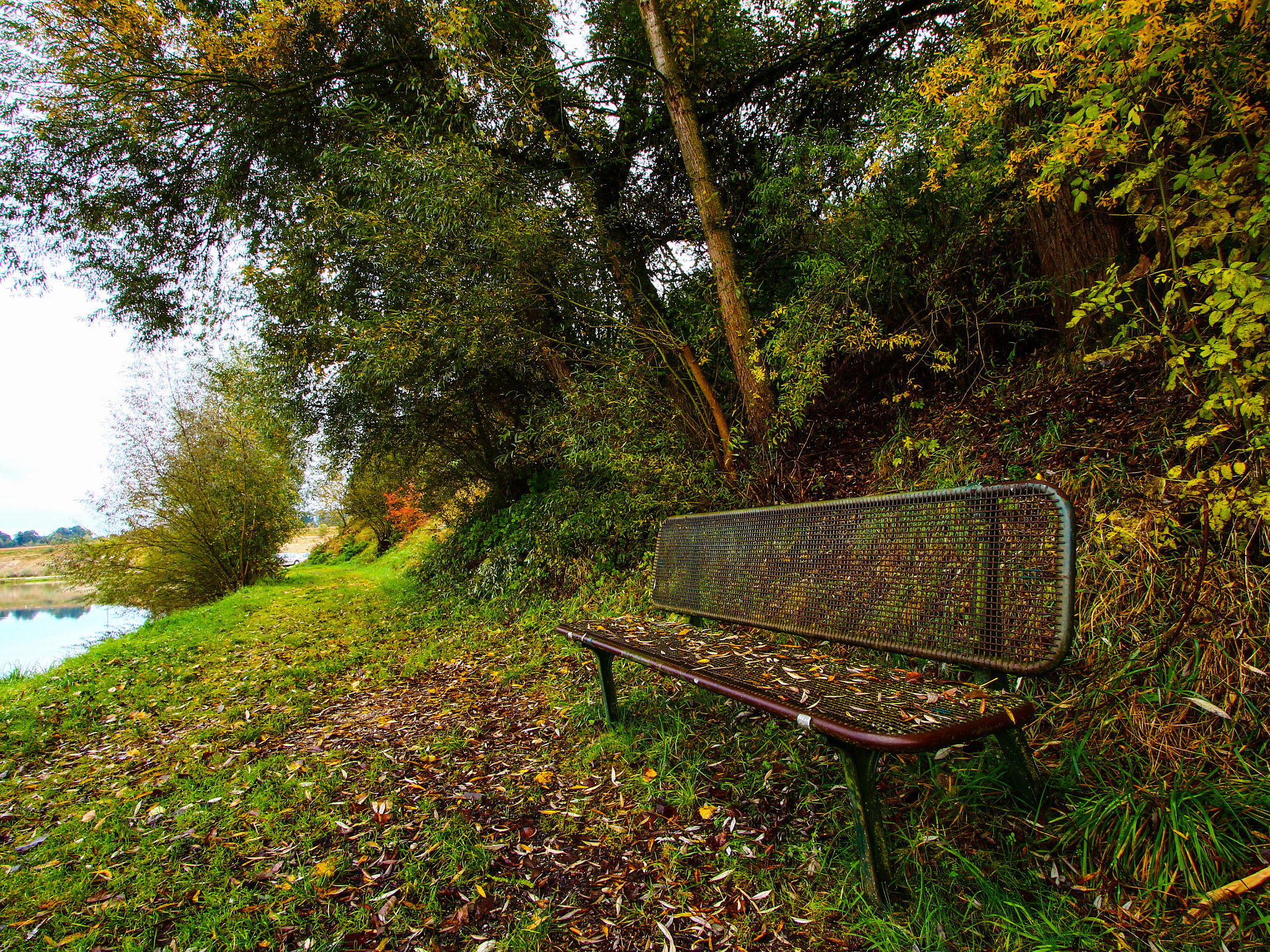 Canon EF-S 10-22mm F3.5-4.5 USM sample photo. Bench in the autumn photography