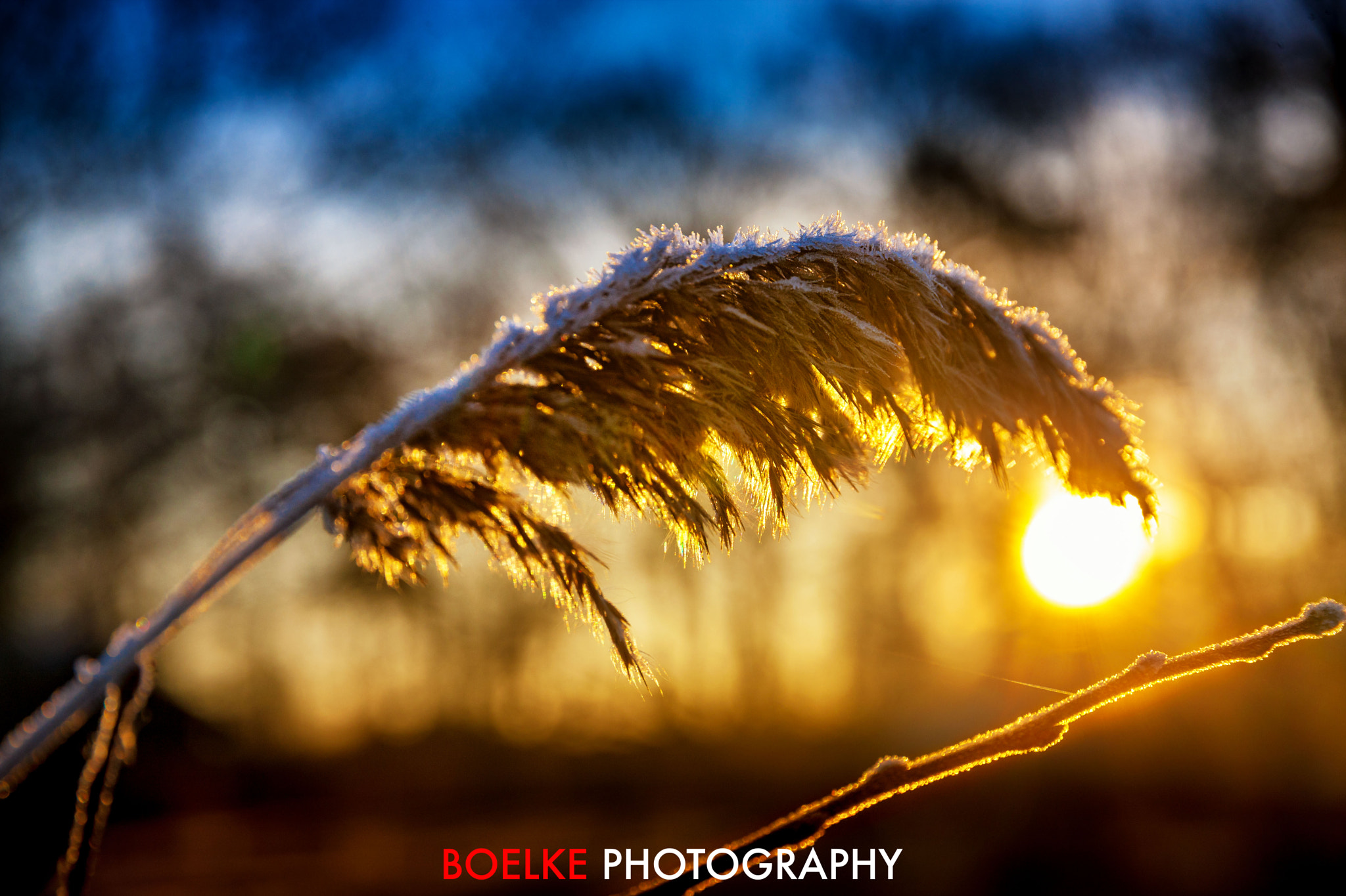 Sigma 24-105mm f/4 DG OS HSM | A sample photo. New year, new sun photography