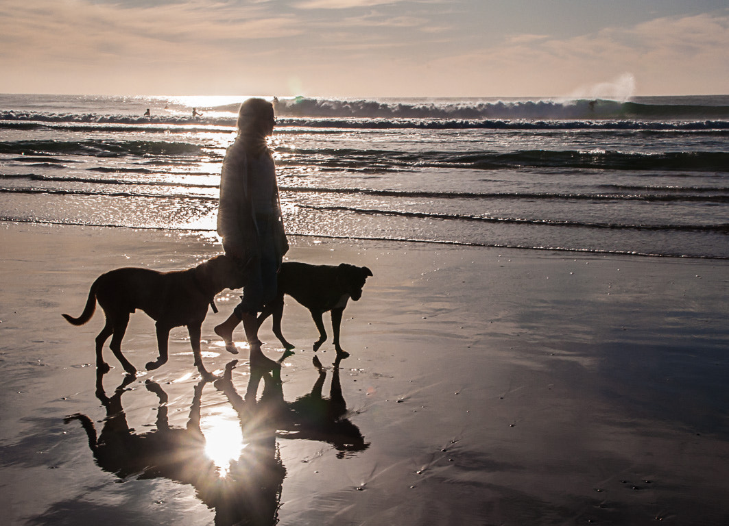Nikon D5000 sample photo. Life is a beach photography