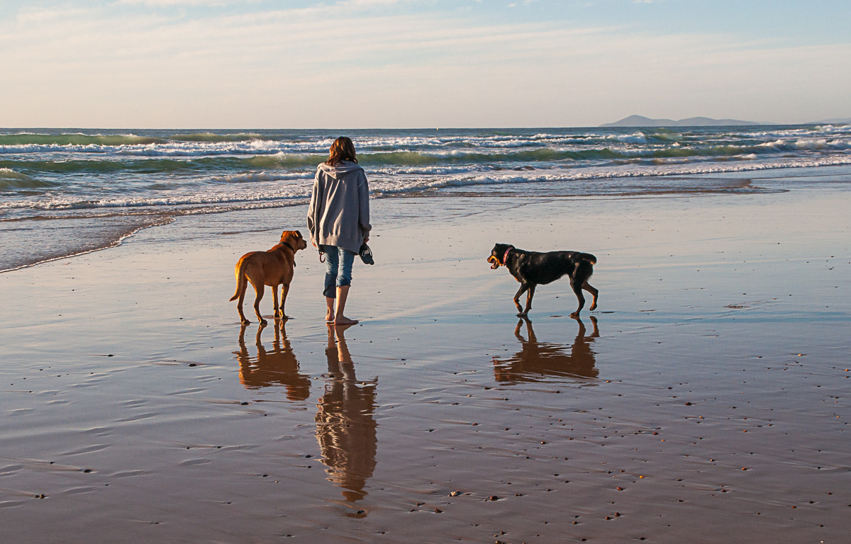 Nikon D5000 sample photo. Life is a beach photography