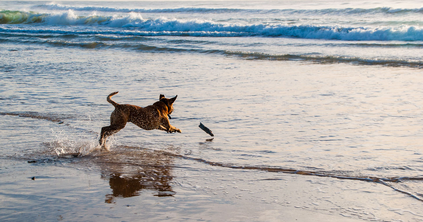 Nikon D5000 sample photo. Life is a beach photography