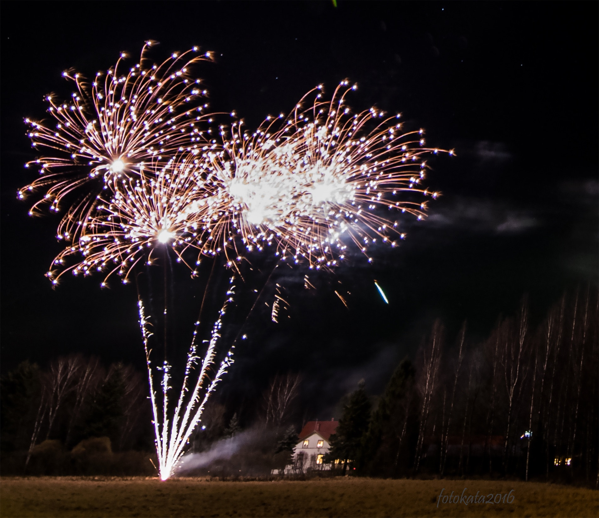 Canon EF 11-24mm F4L USM sample photo. #fireworks# photography