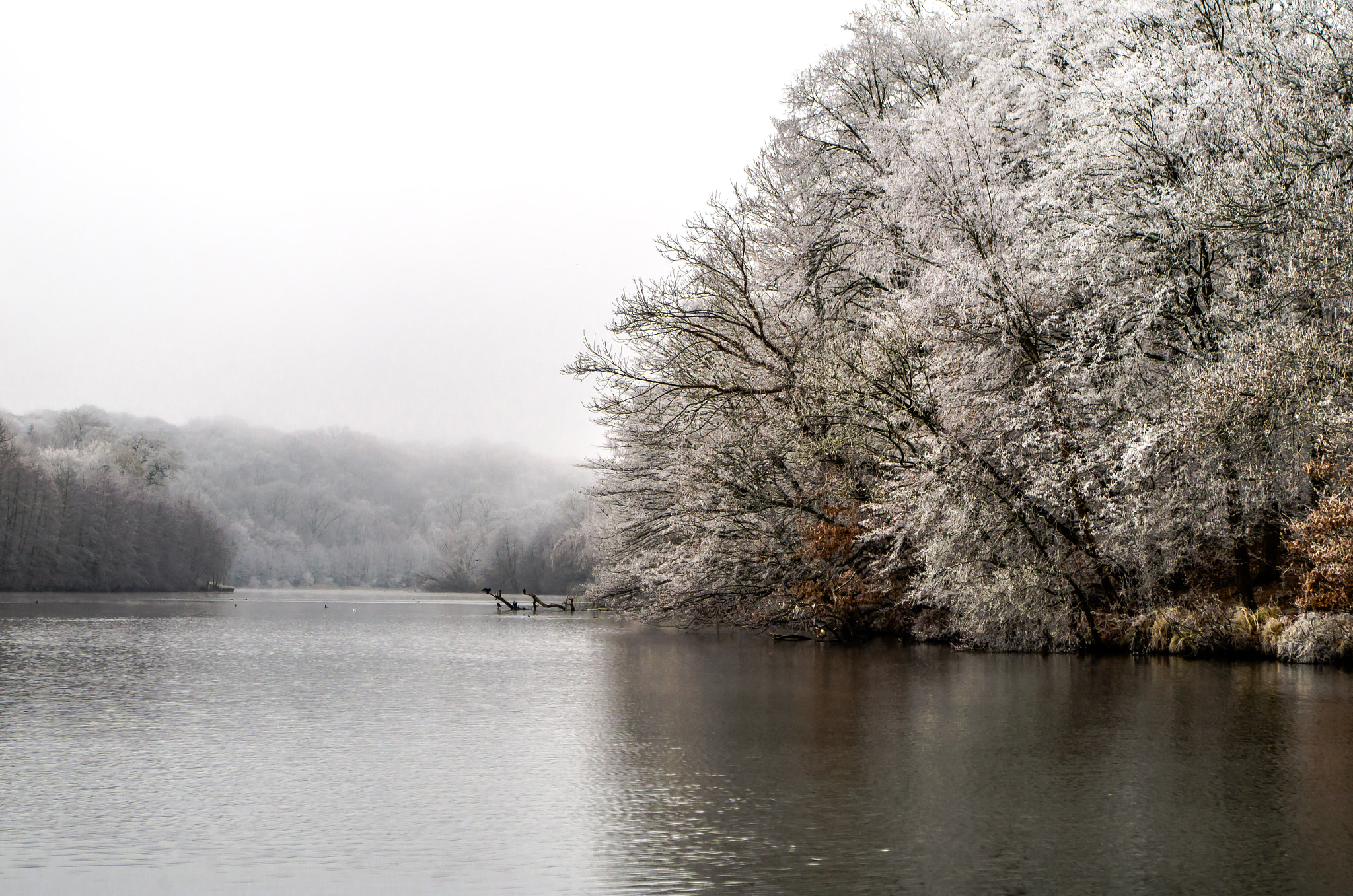 Pentax smc DA 18-55mm F3.5-5.6 AL WR sample photo. Winter lake 2 photography