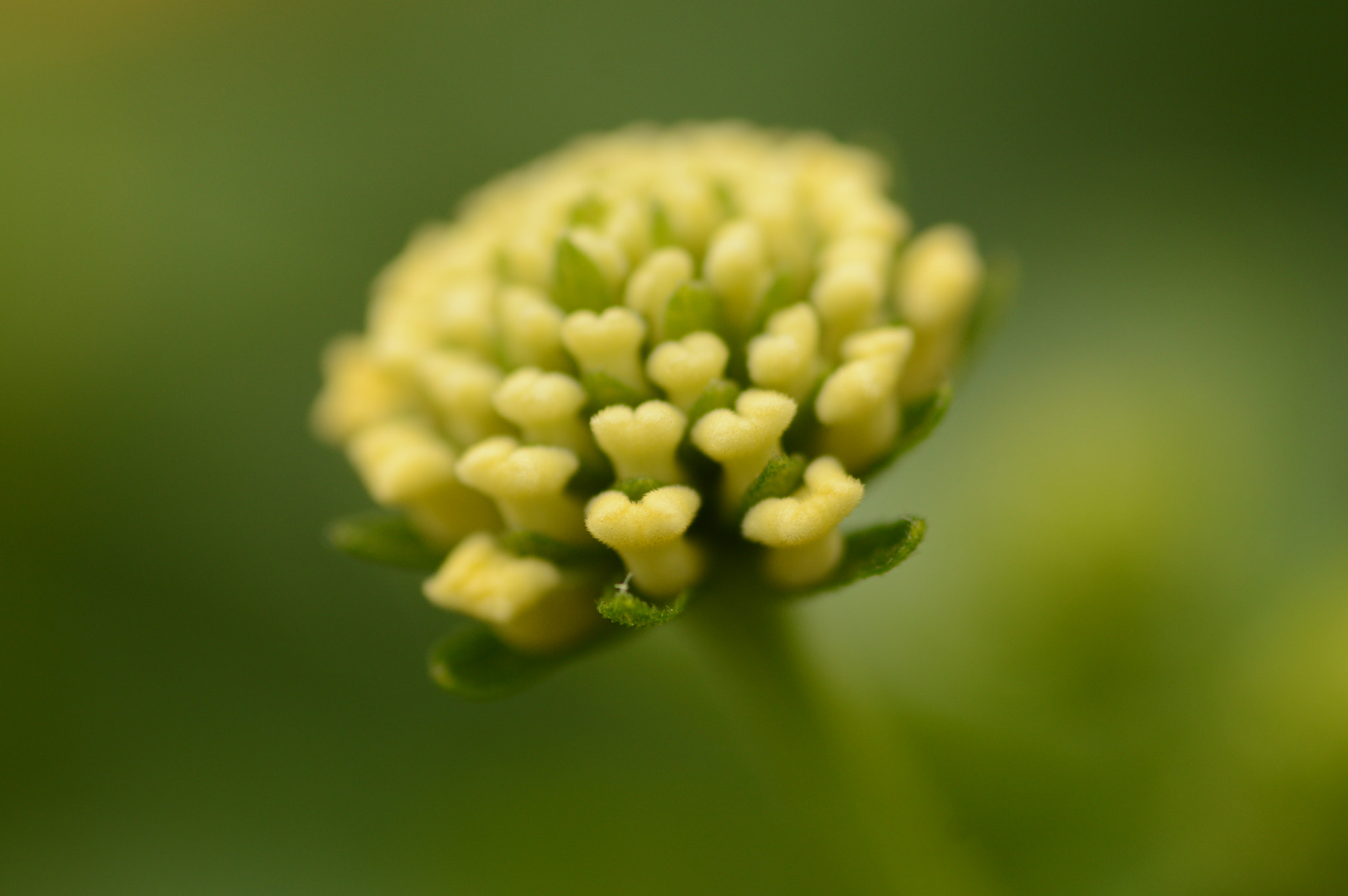 Nikon D3200 sample photo