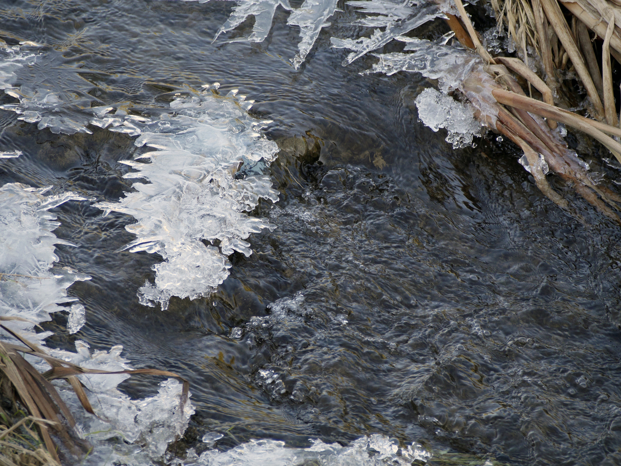 Panasonic Lumix DMC-GH3 sample photo. Winter detail photography