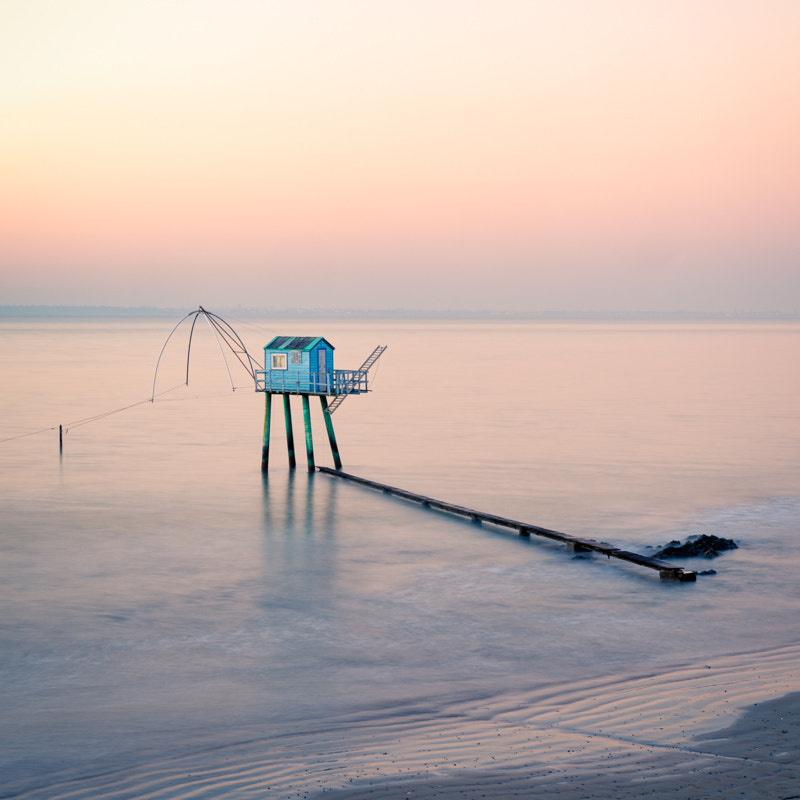 Nikon D800E sample photo. The blue fisherman photography