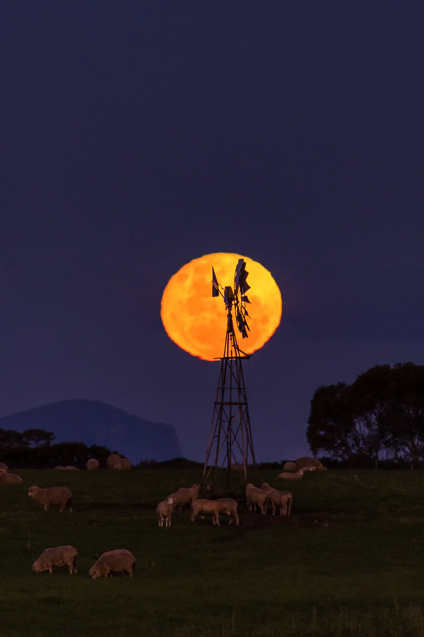 Canon EOS 6D + Canon EF 400mm F5.6L USM sample photo. Under a full moon photography
