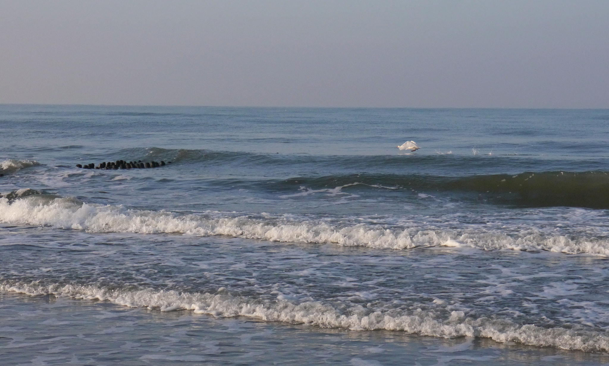 Panasonic Lumix DMC-G5 sample photo. 1- photography
