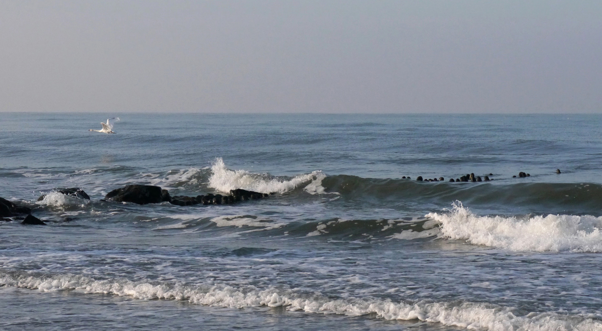 Panasonic Lumix DMC-G5 sample photo