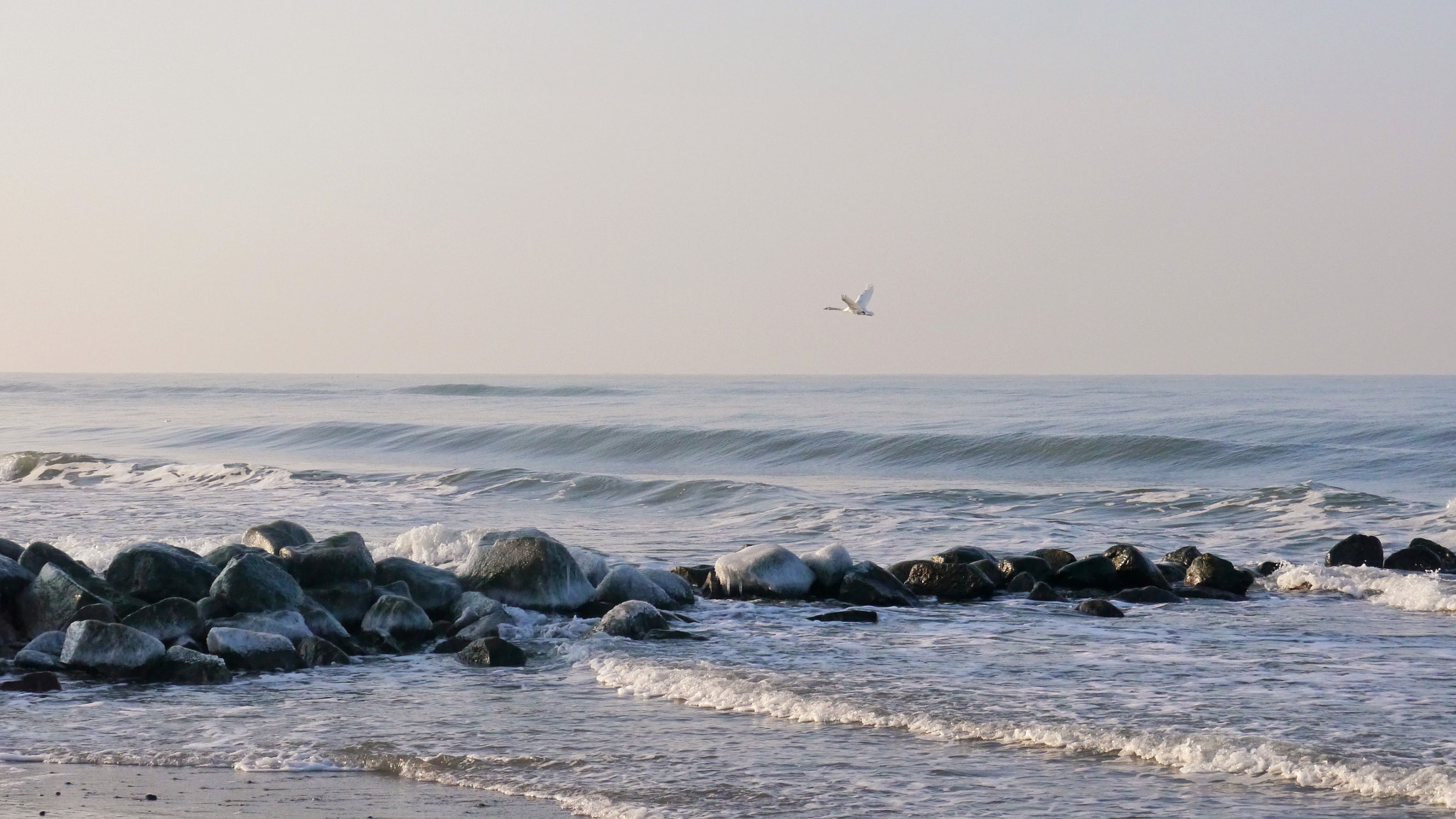Panasonic Lumix DMC-G5 sample photo