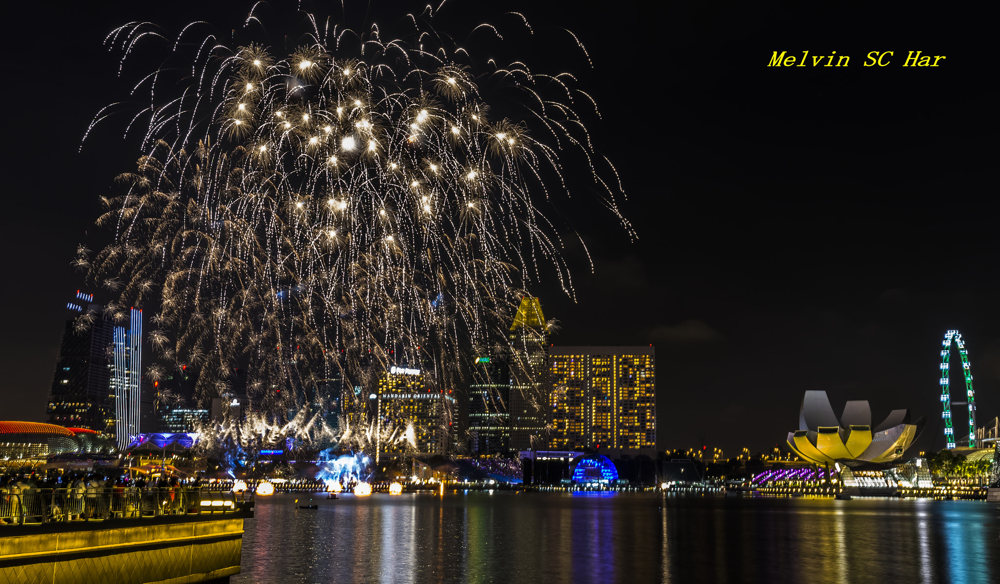 Tamron SP 24-70mm F2.8 Di VC USD sample photo. 2017 @ the marina bay singapore photography