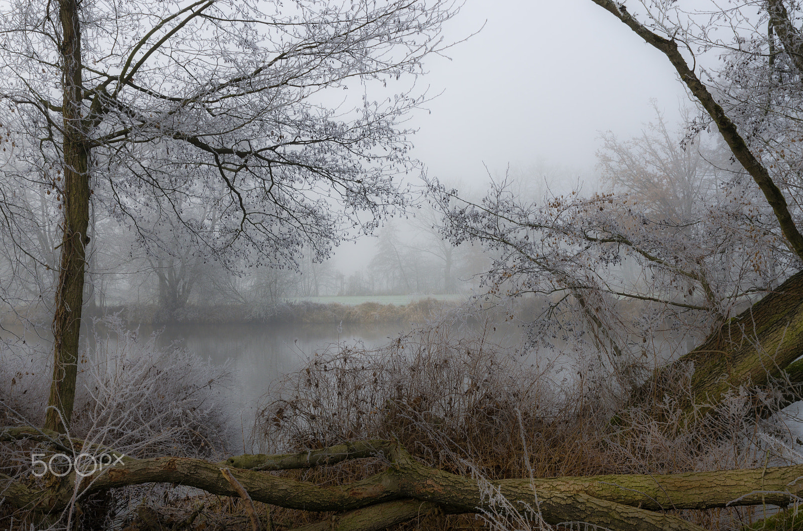 HD Pentax D FA 24-70mm F2.8 ED SDM WR sample photo. Frosty winter day photography