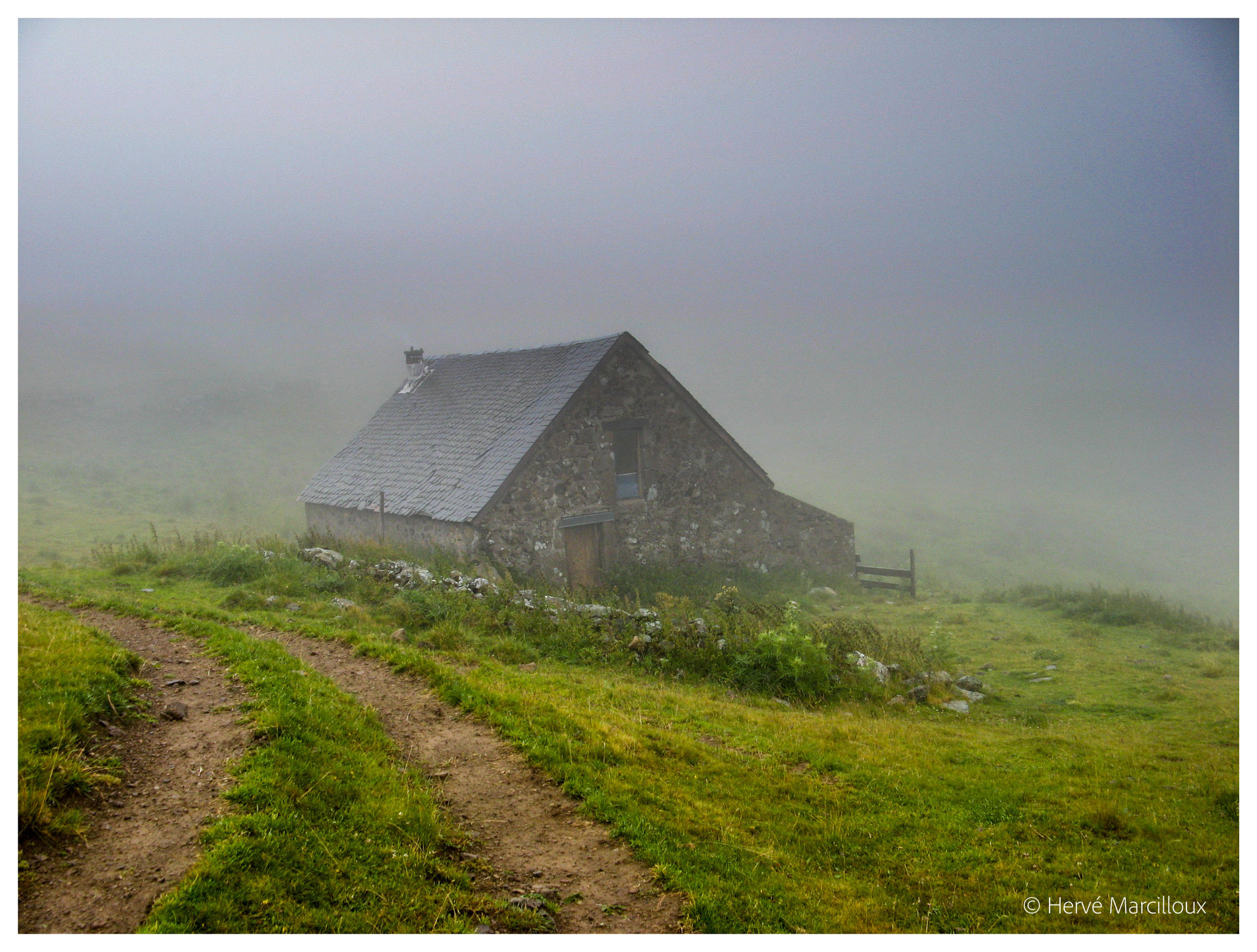 Canon POWERSHOT A710 IS sample photo. Foggy morning in the french countryside photography