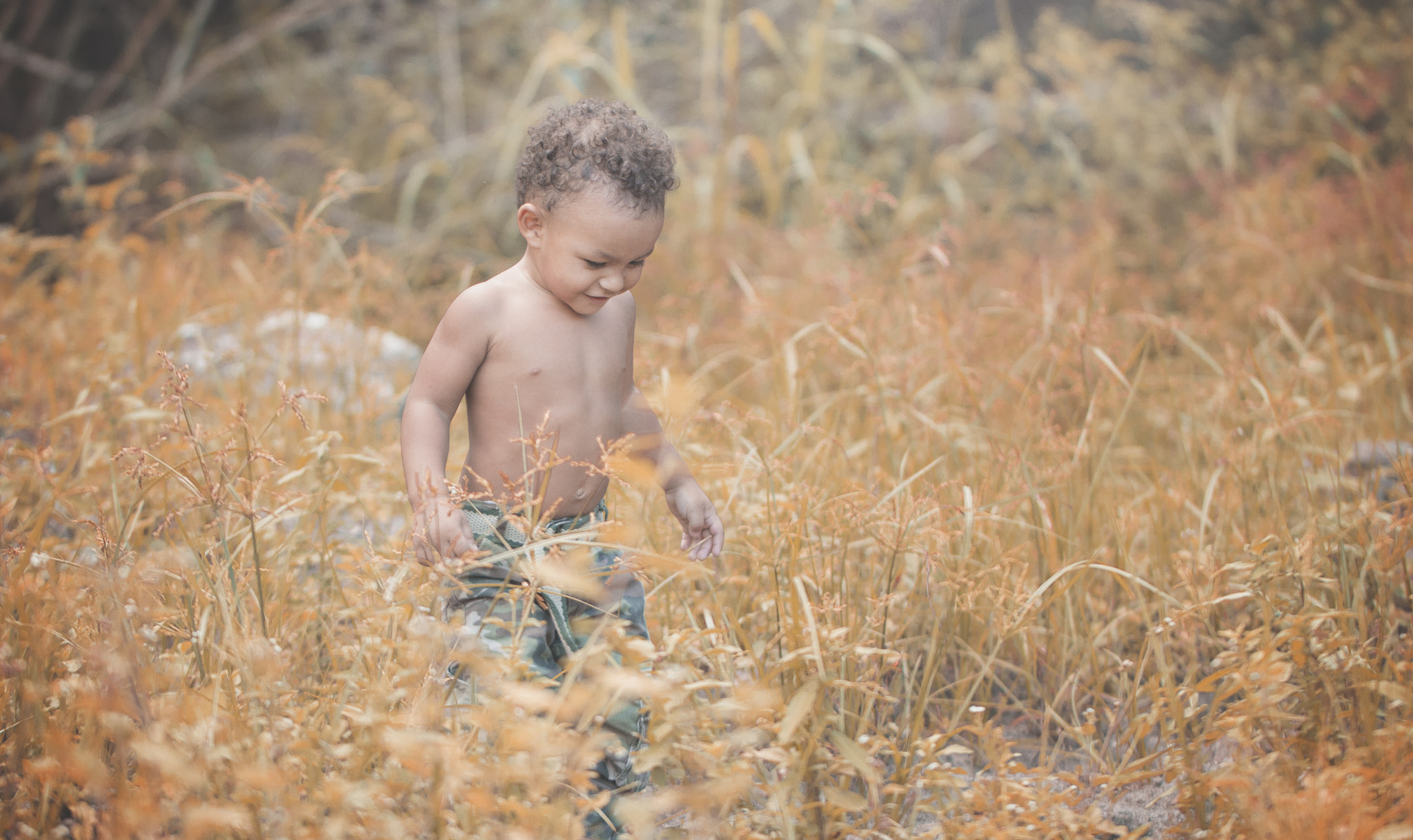 Canon EOS 650D (EOS Rebel T4i / EOS Kiss X6i) sample photo. Fabinho photography