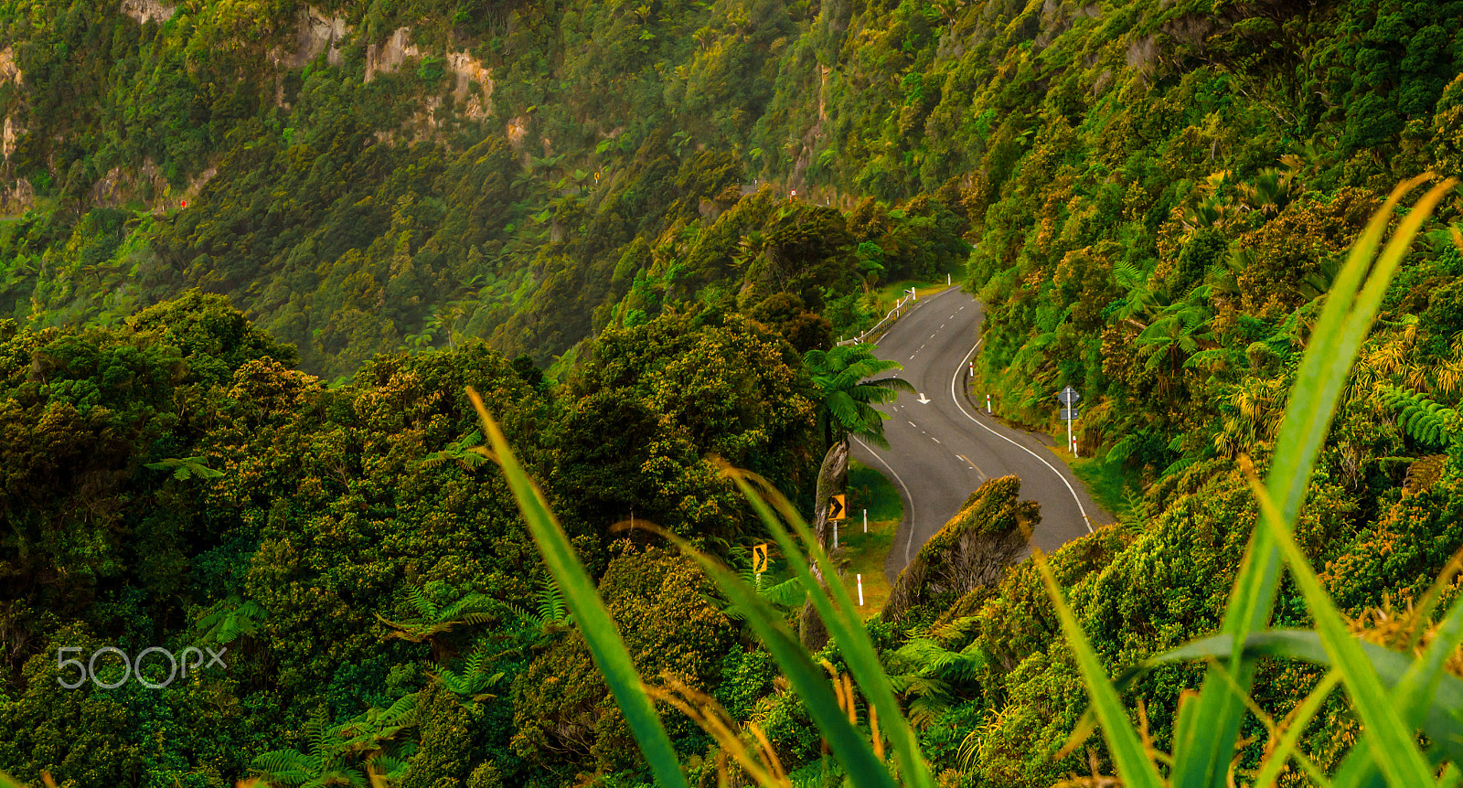 Nikon D7000 + Sigma 17-70mm F2.8-4 DC Macro OS HSM sample photo. Patch of road photography