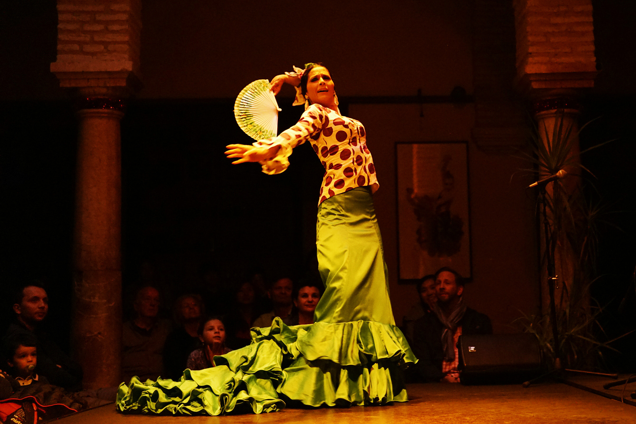 Sony a6000 + Sigma 30mm F1.4 DC DN | C sample photo. Dear flamenco photography