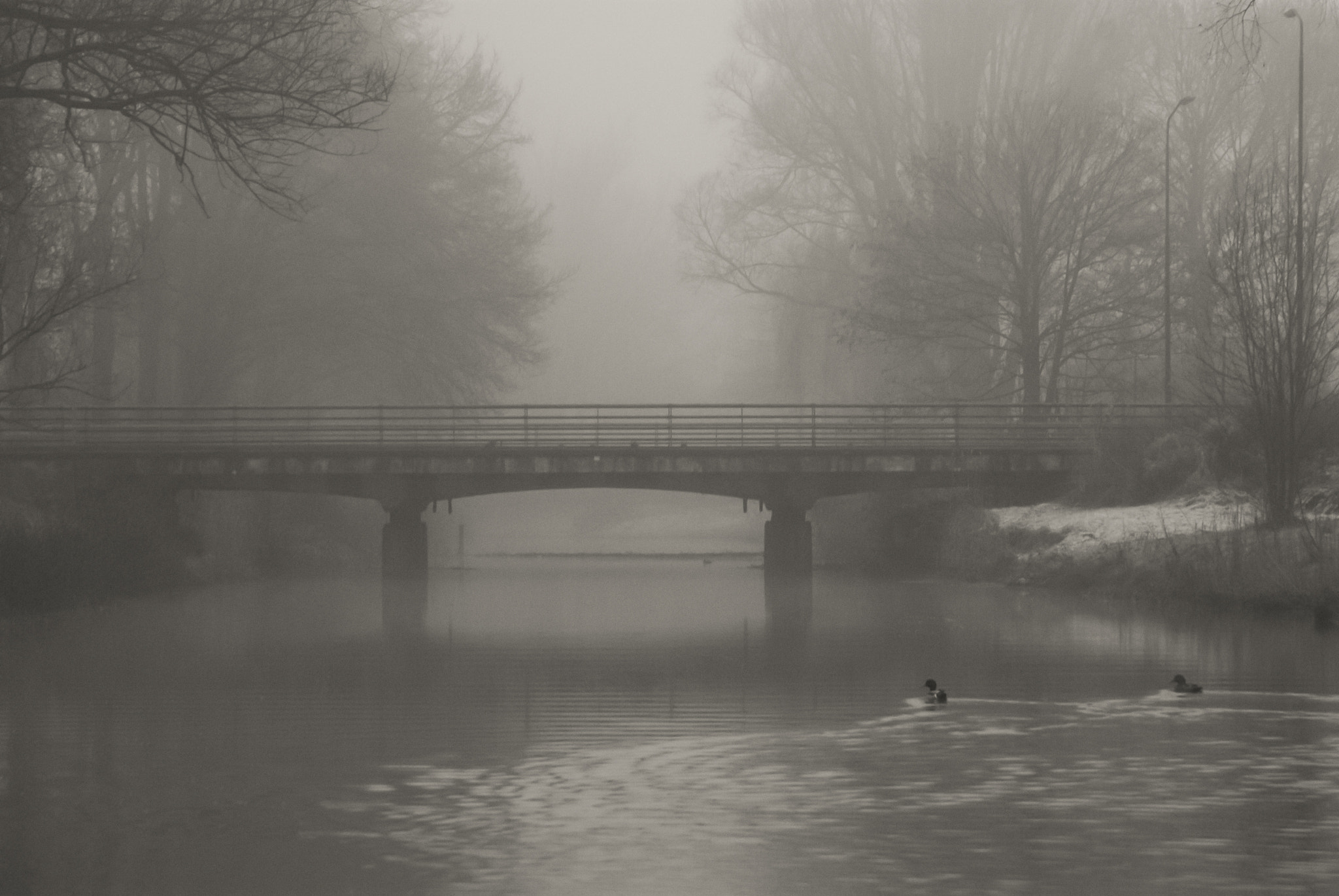 Nikon D200 sample photo. Park in veghel 01 photography