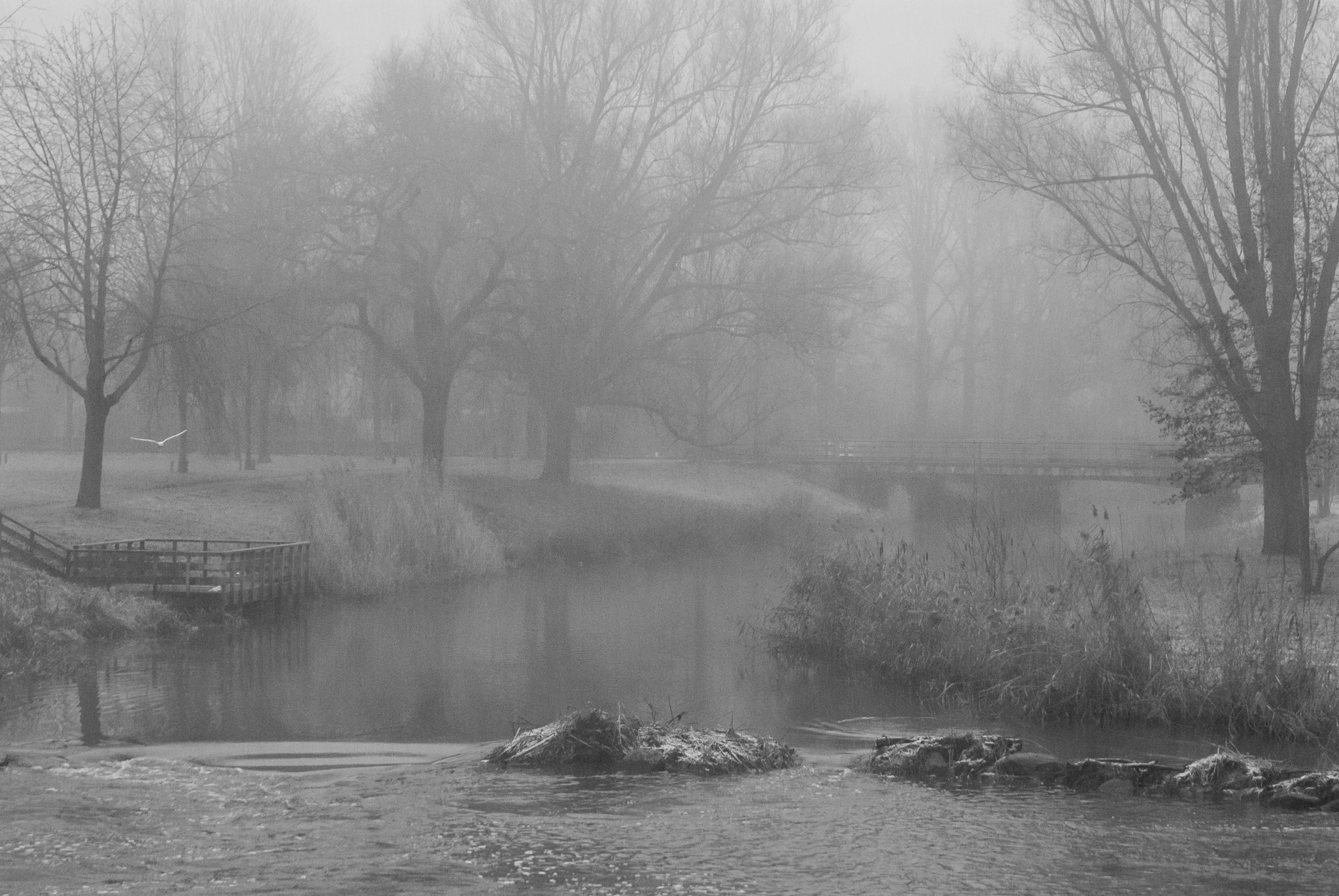Nikon D200 sample photo. Park in veghel 02 photography