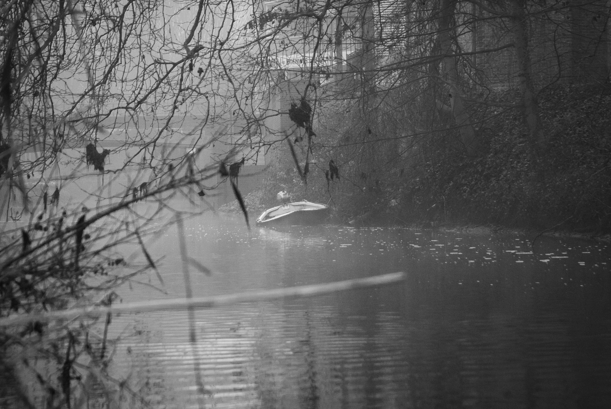 Nikon D200 sample photo. Park in veghel 03 photography