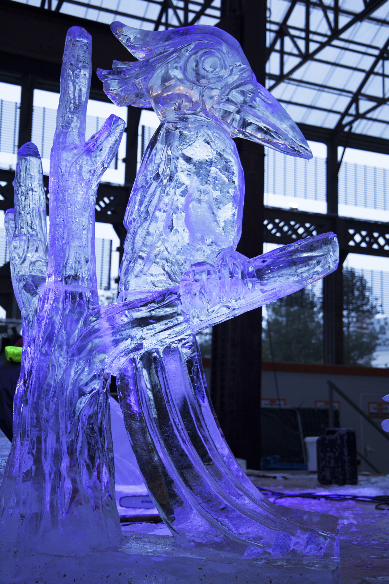 Canon EF 24-105mm F3.5-5.6 IS STM sample photo. Bird in ice photography