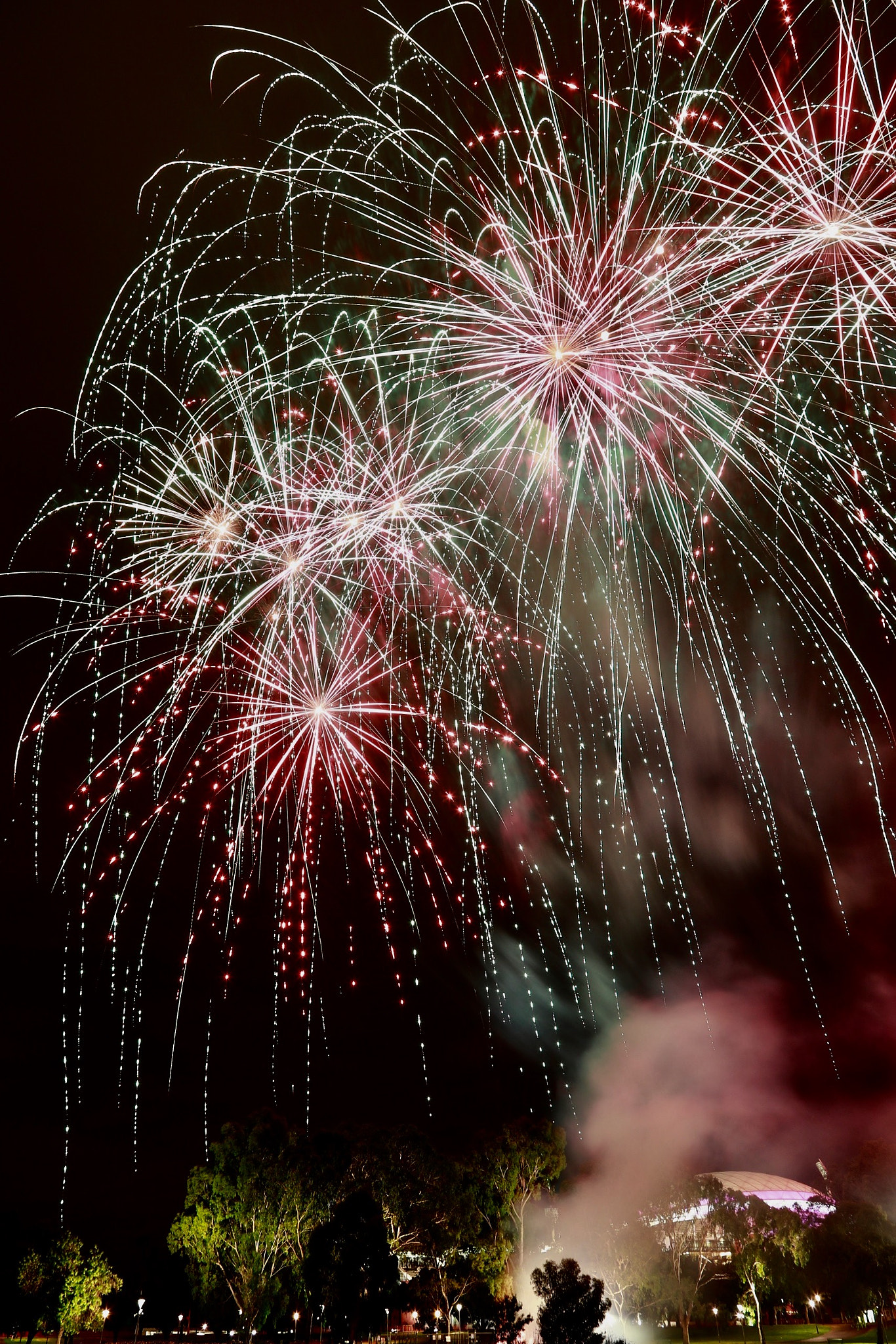 Canon EOS-1D X Mark II sample photo
