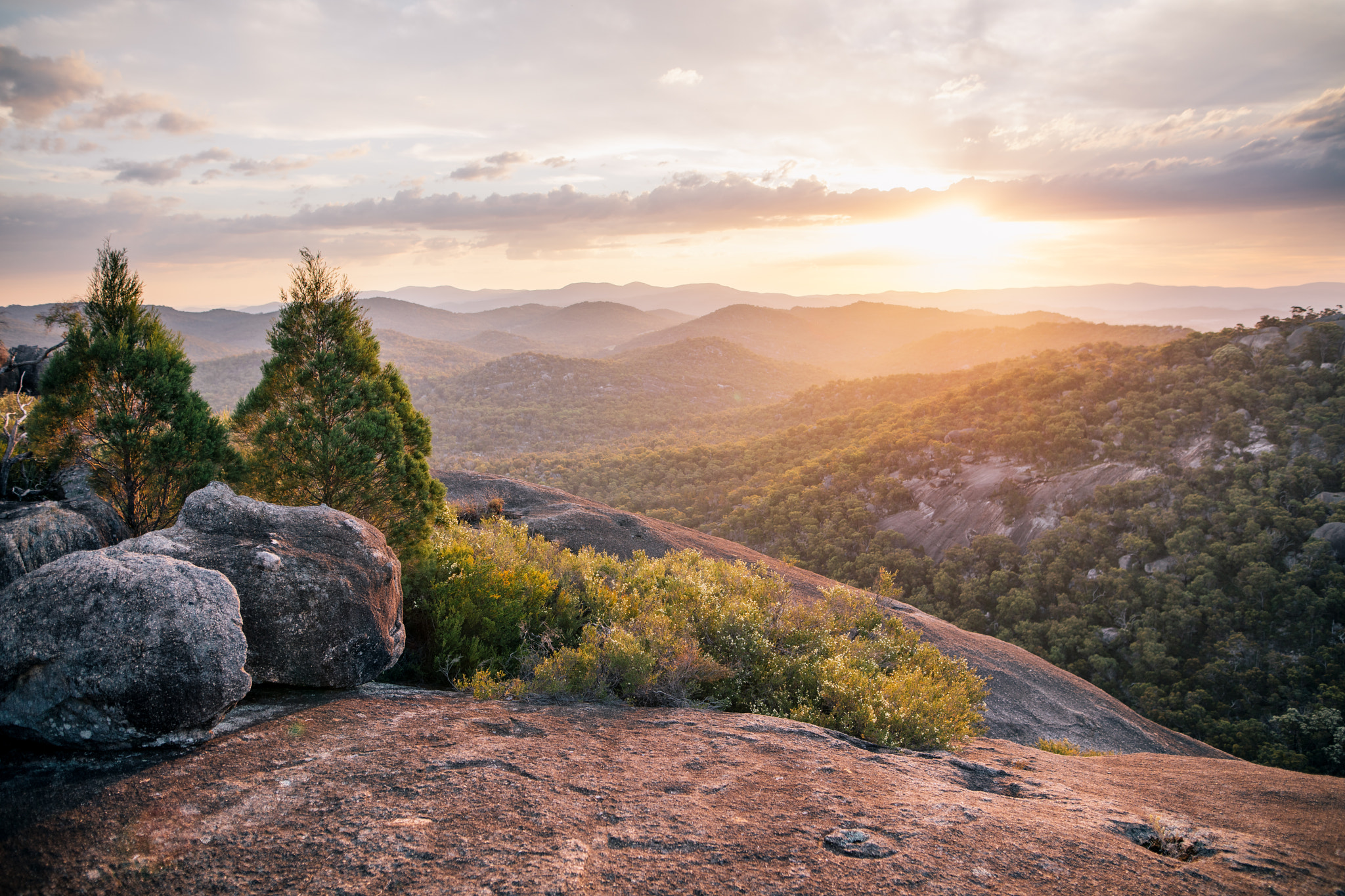 Sigma 24mm F1.4 DG HSM Art sample photo. Girraween national park photography