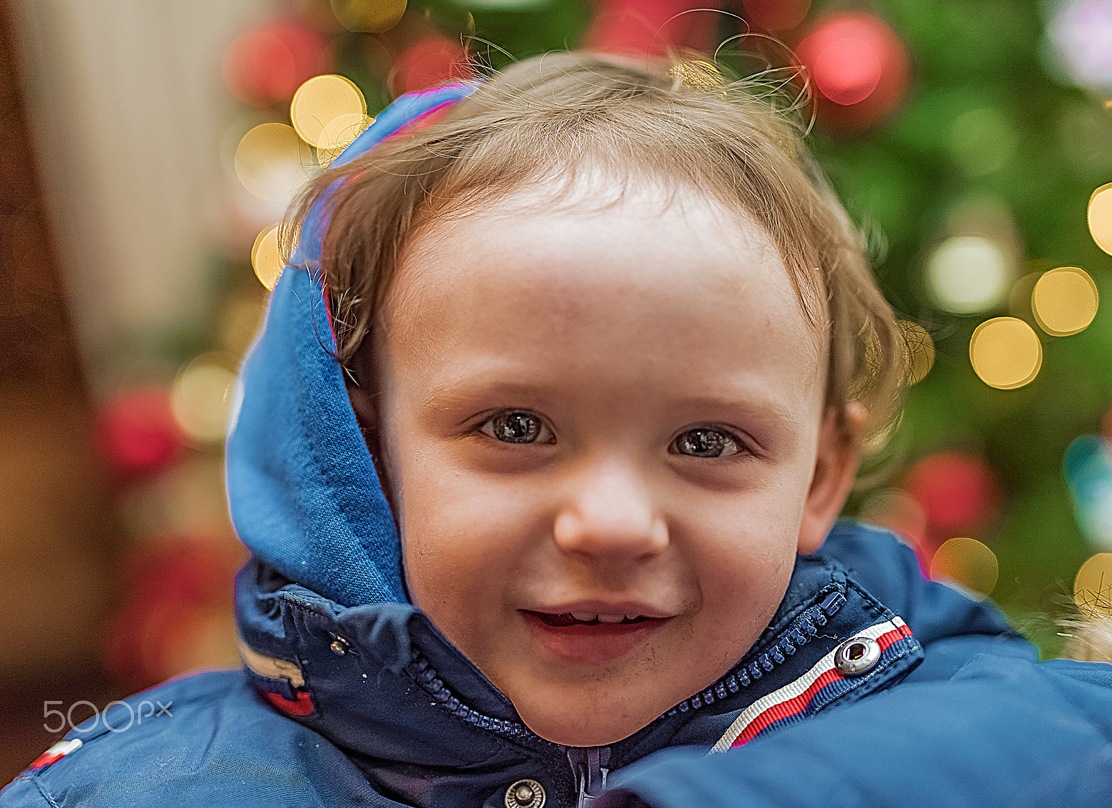 Nikon D610 + Sigma 50mm F1.4 DG HSM Art sample photo. Christmas lights photography