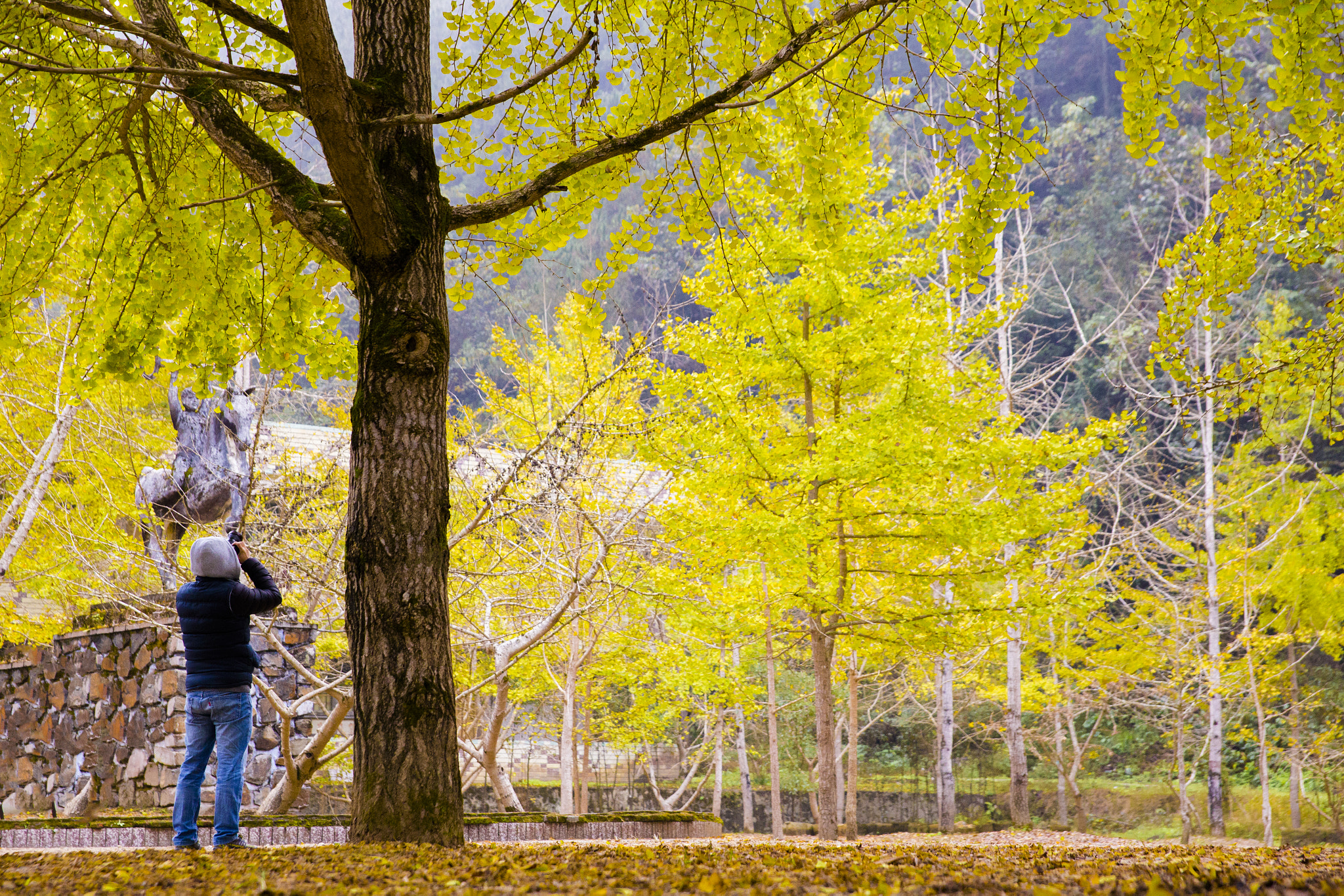 Canon EF 400mm f/2.8L sample photo. Shooting photography