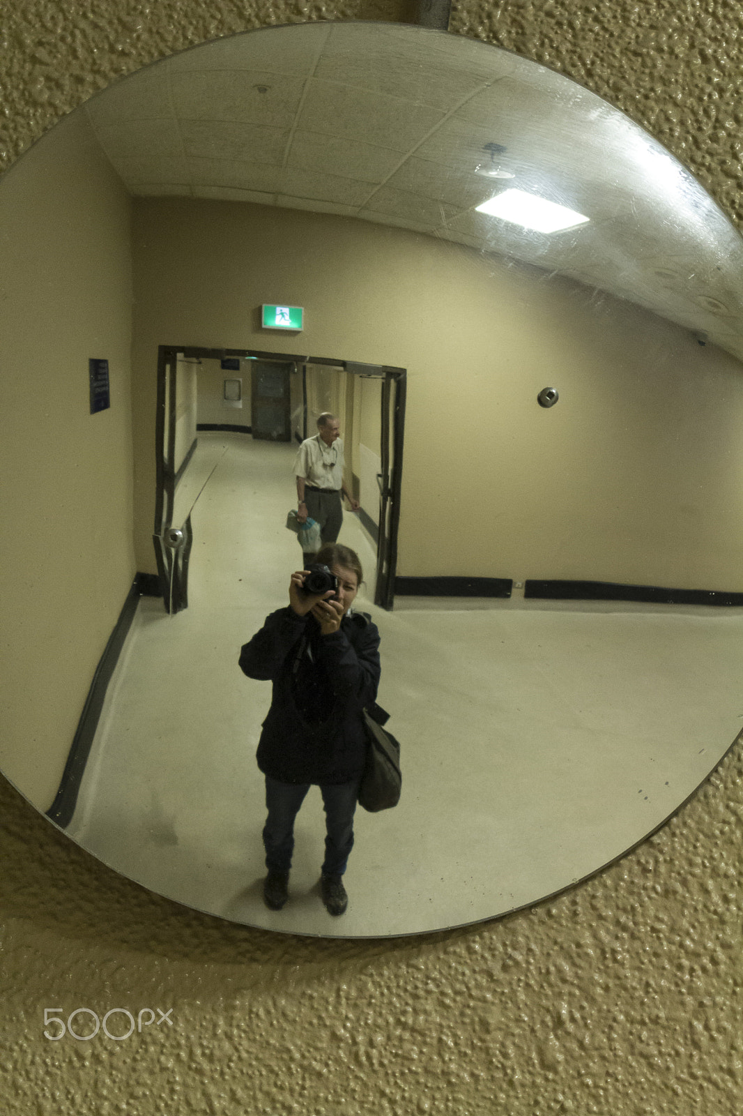 Canon EOS 600D (Rebel EOS T3i / EOS Kiss X5) sample photo. Mirror reflection - canary in the coal mine photography