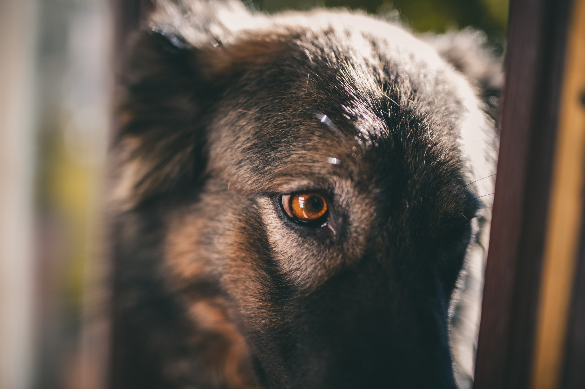 Nikon D700 + Sigma 50mm F1.4 DG HSM Art sample photo. Claire photography