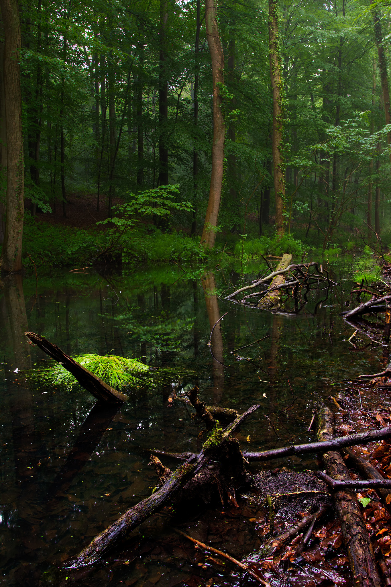 Sigma 18-35mm f/1.8 DC HSM sample photo. Tranquility photography
