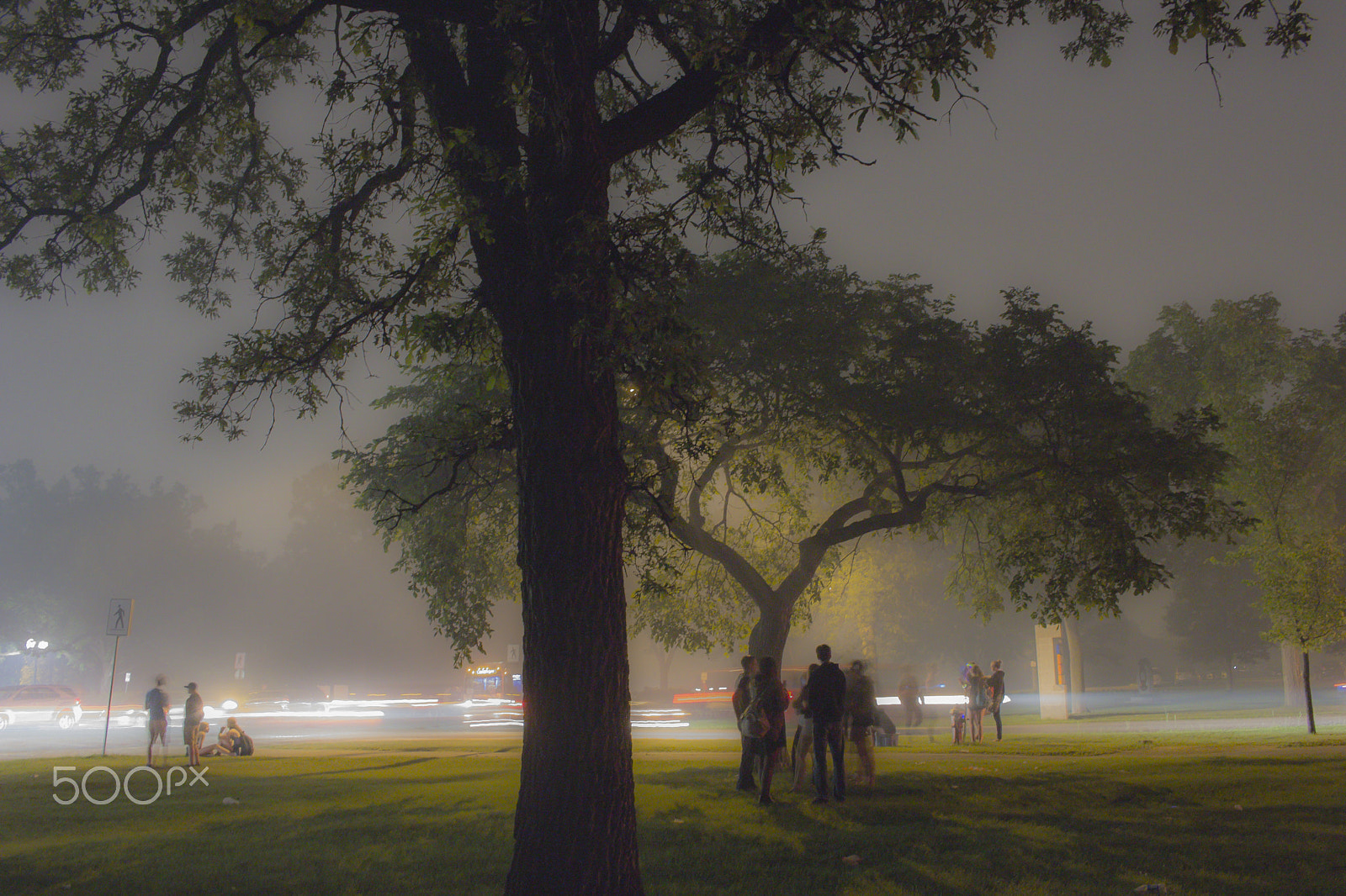 Canon EOS 600D (Rebel EOS T3i / EOS Kiss X5) sample photo. Mystic forest - painting series photography
