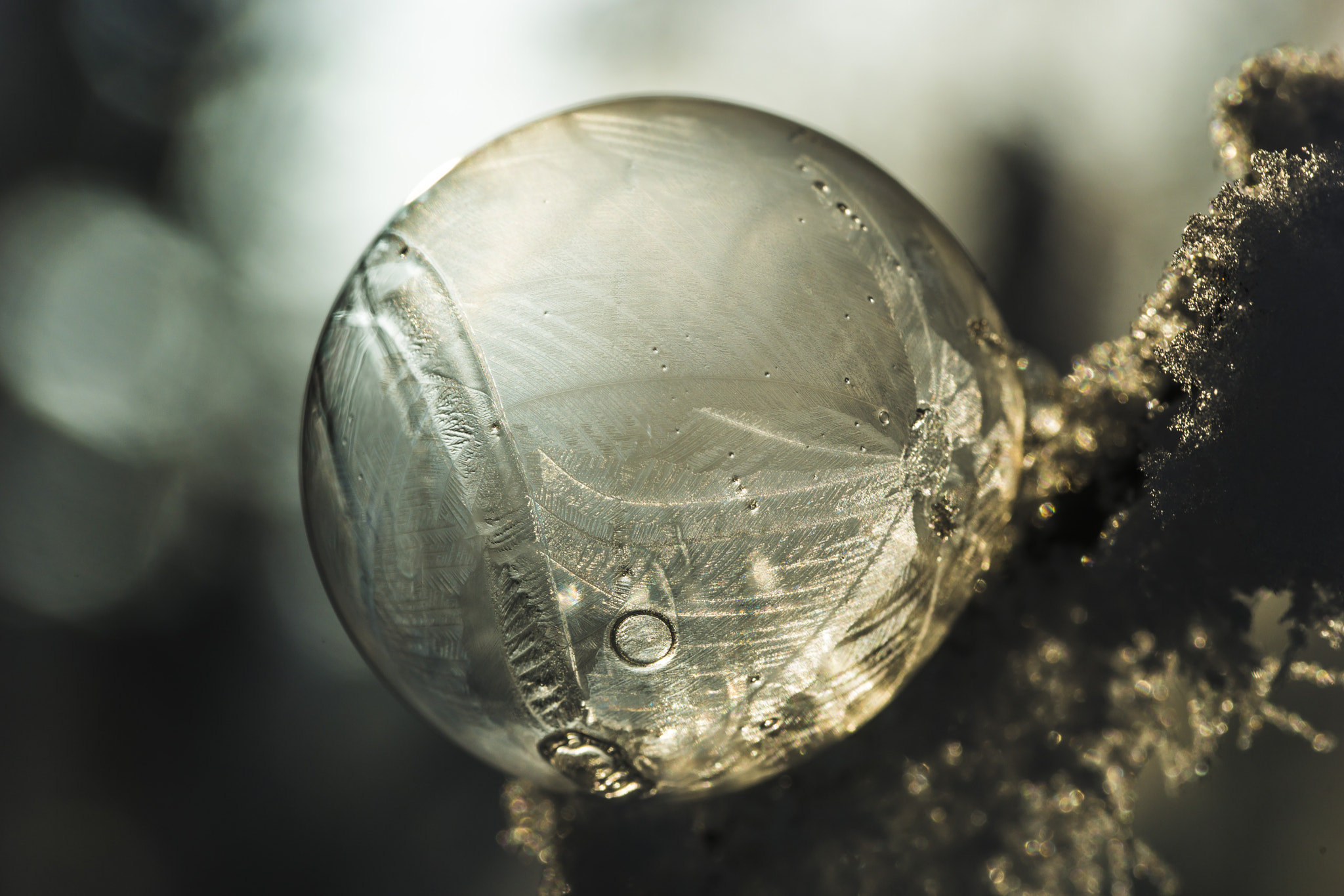 Sony a99 II + 90mm F2.8 Macro SSM sample photo. Frozen light photography