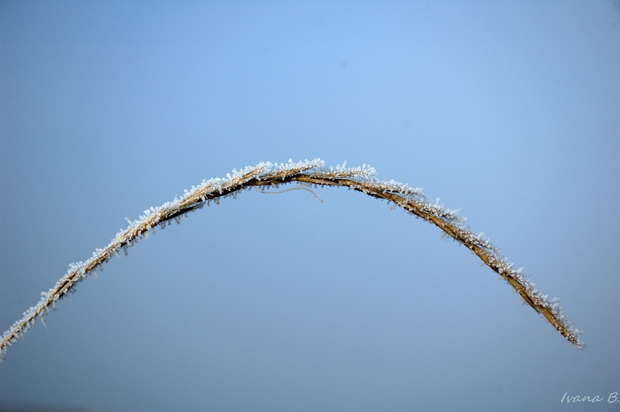 Nikon D70 sample photo. Winter3 photography